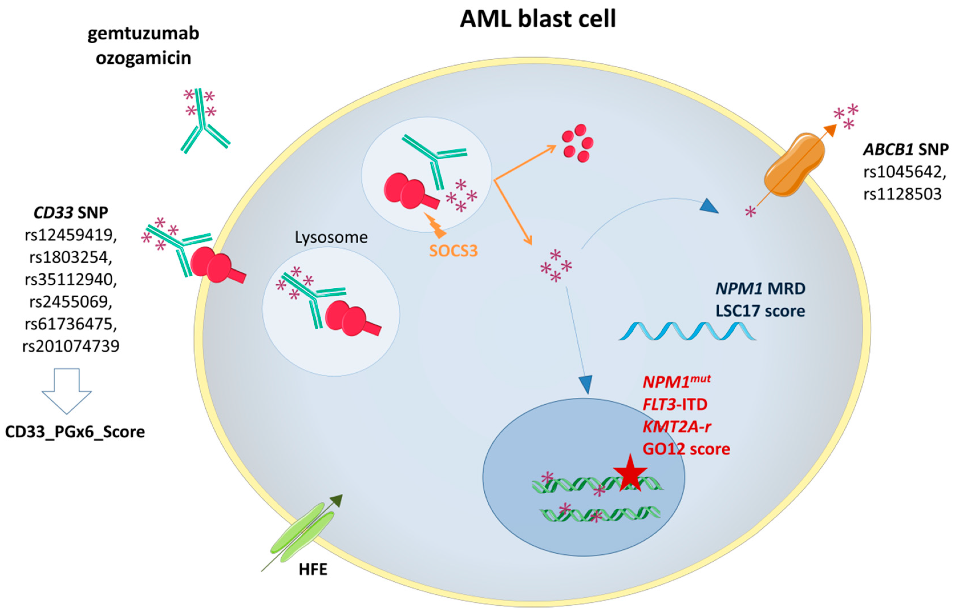 Ijms 21 05626 g001 Ijms 21 05626 g001