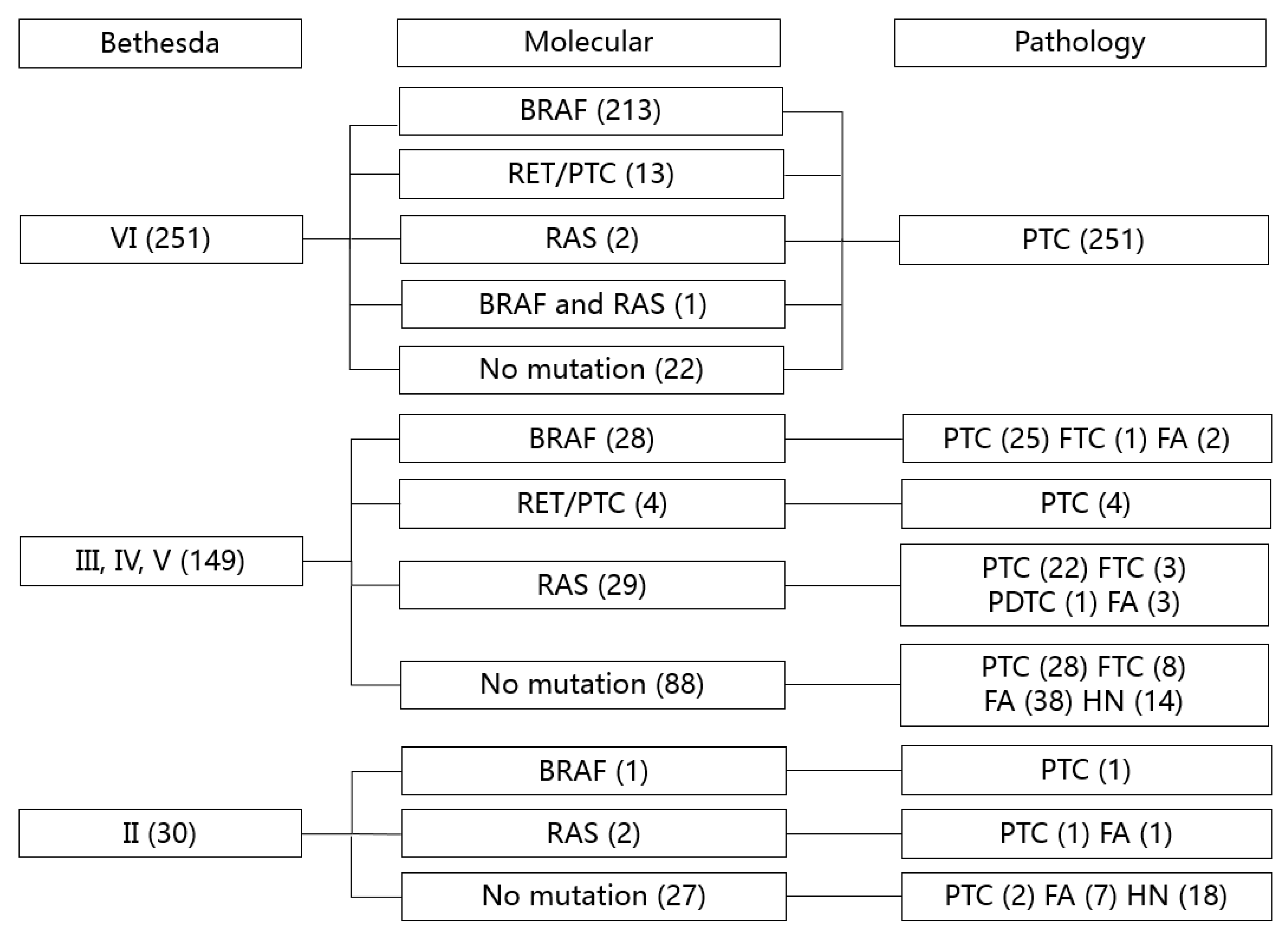 Ijms 21 05629 g001 Ijms 21 05629 g001