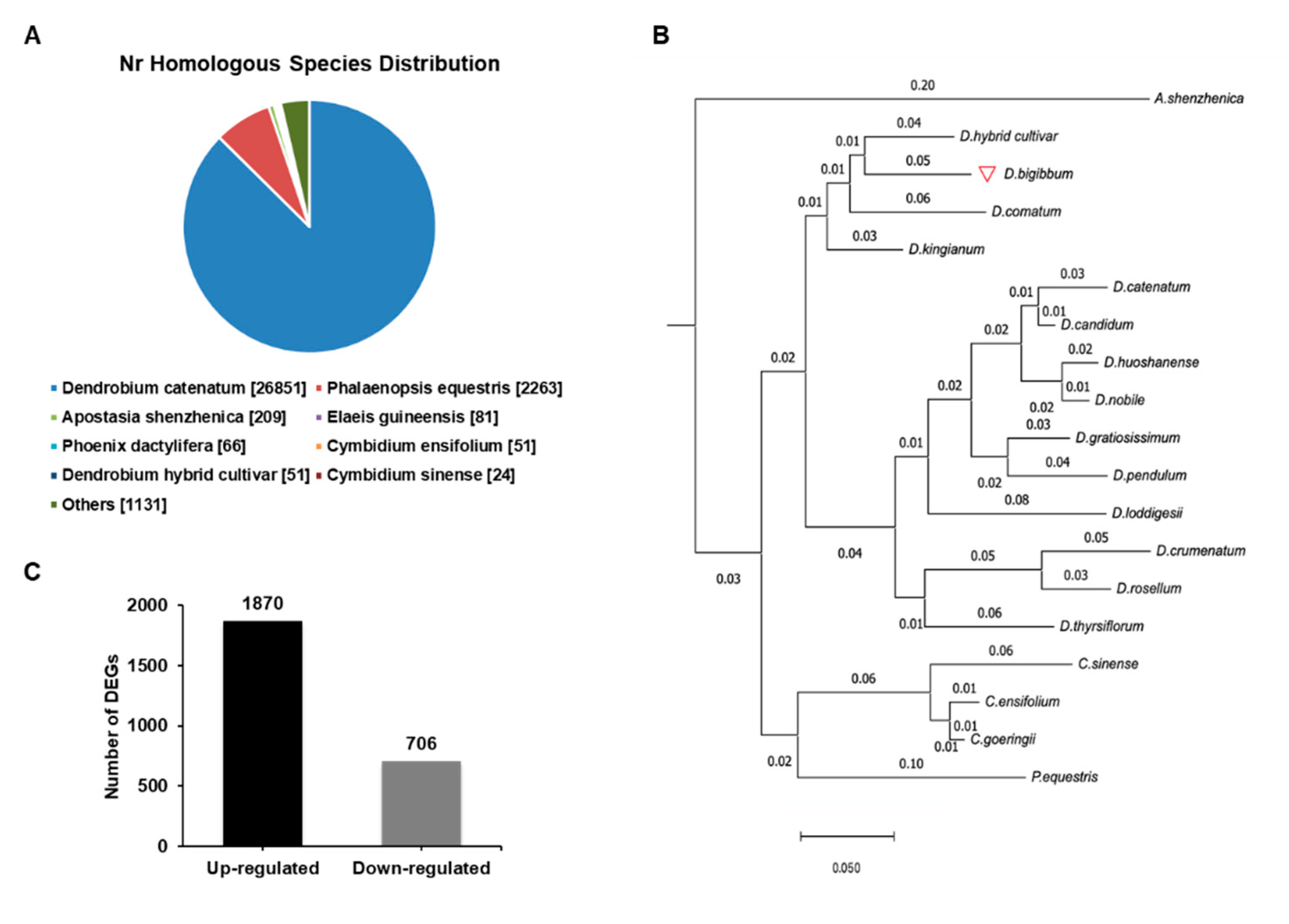 Ijms 21 05653 g003 Ijms 21 05653 g003