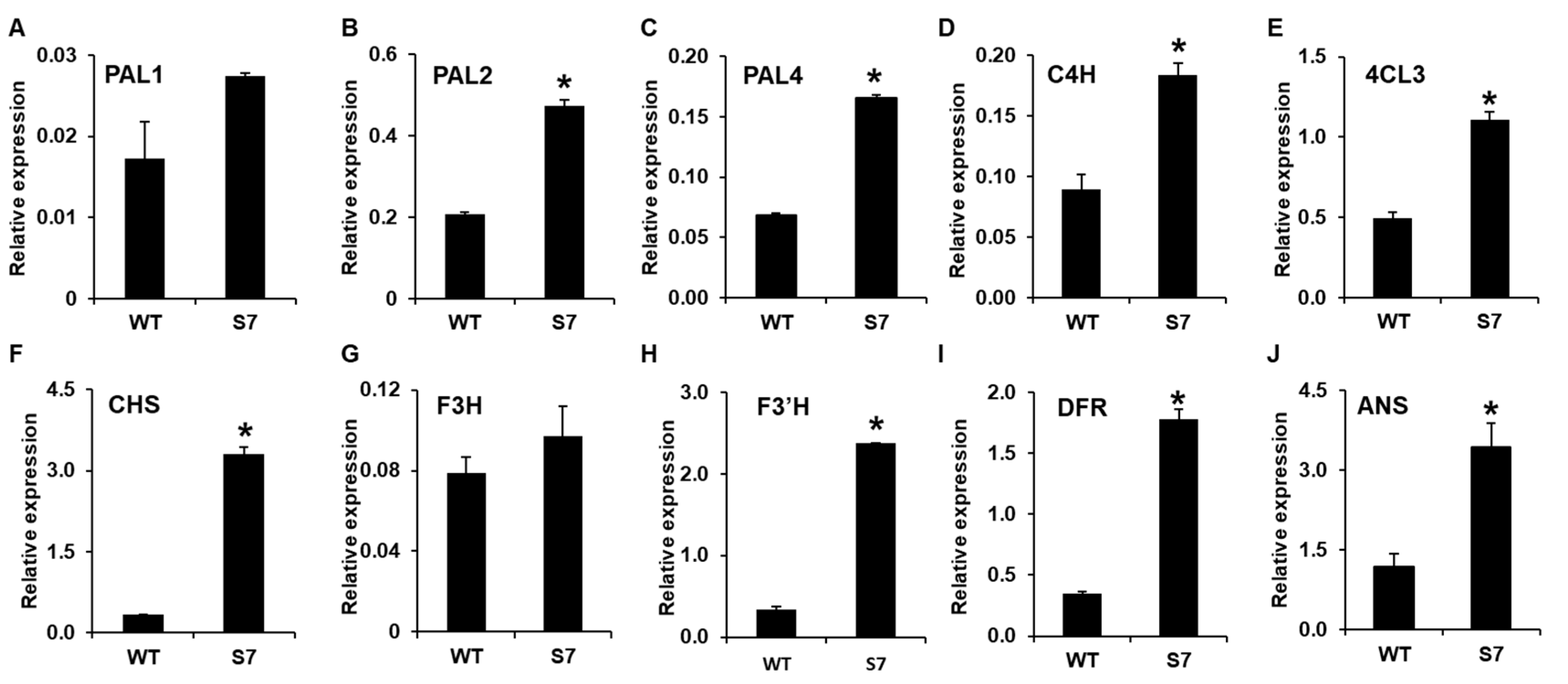Ijms 21 05653 g005 Ijms 21 05653 g005