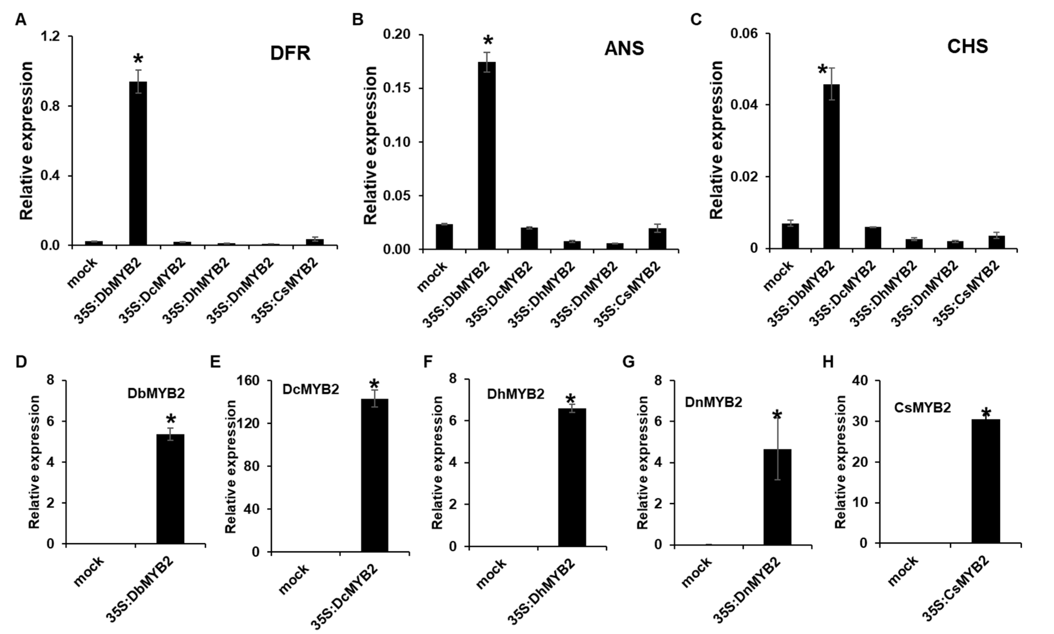 Ijms 21 05653 g008 Ijms 21 05653 g008