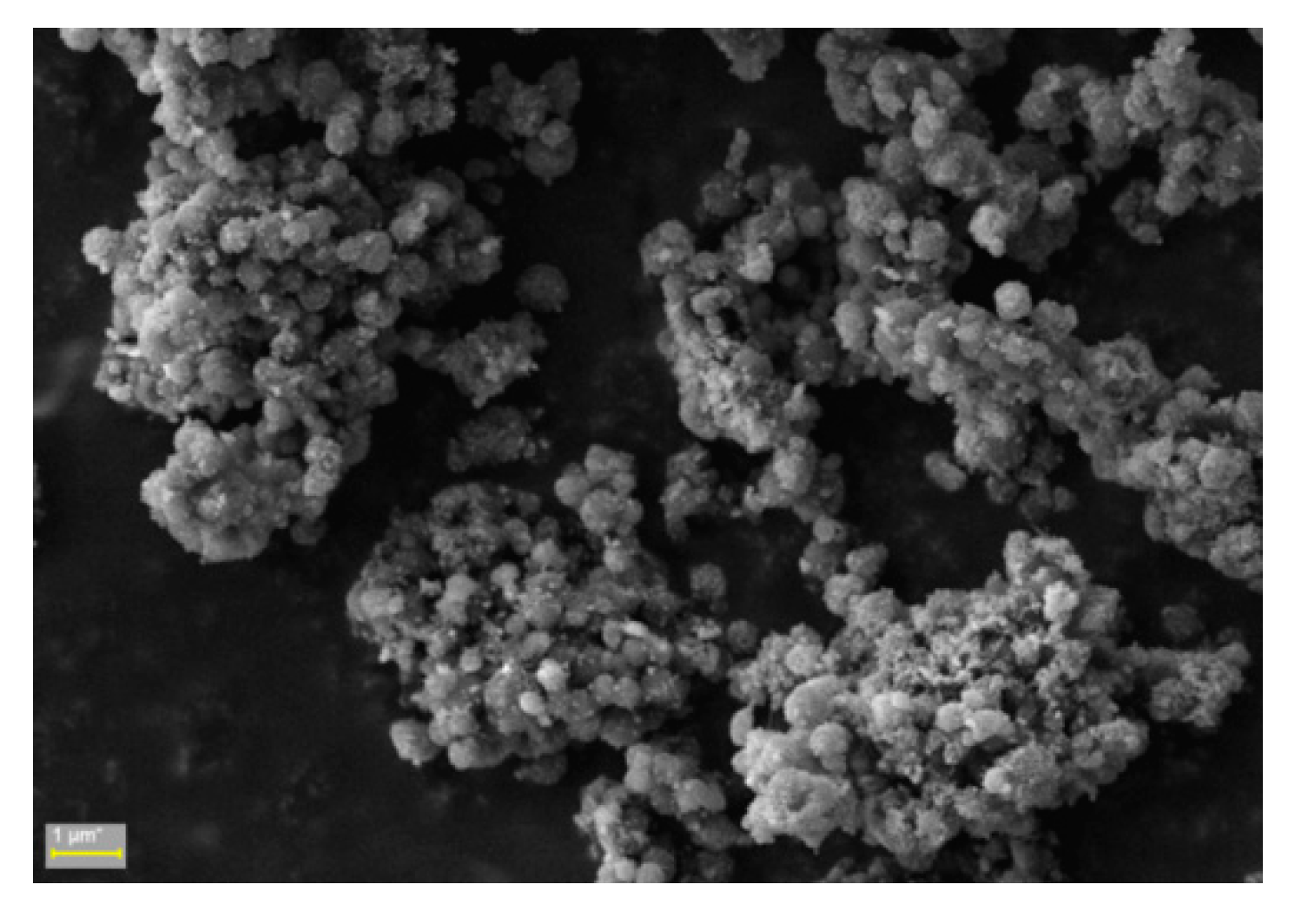 Ijms 21 05659 g004 Ijms 21 05659 g004