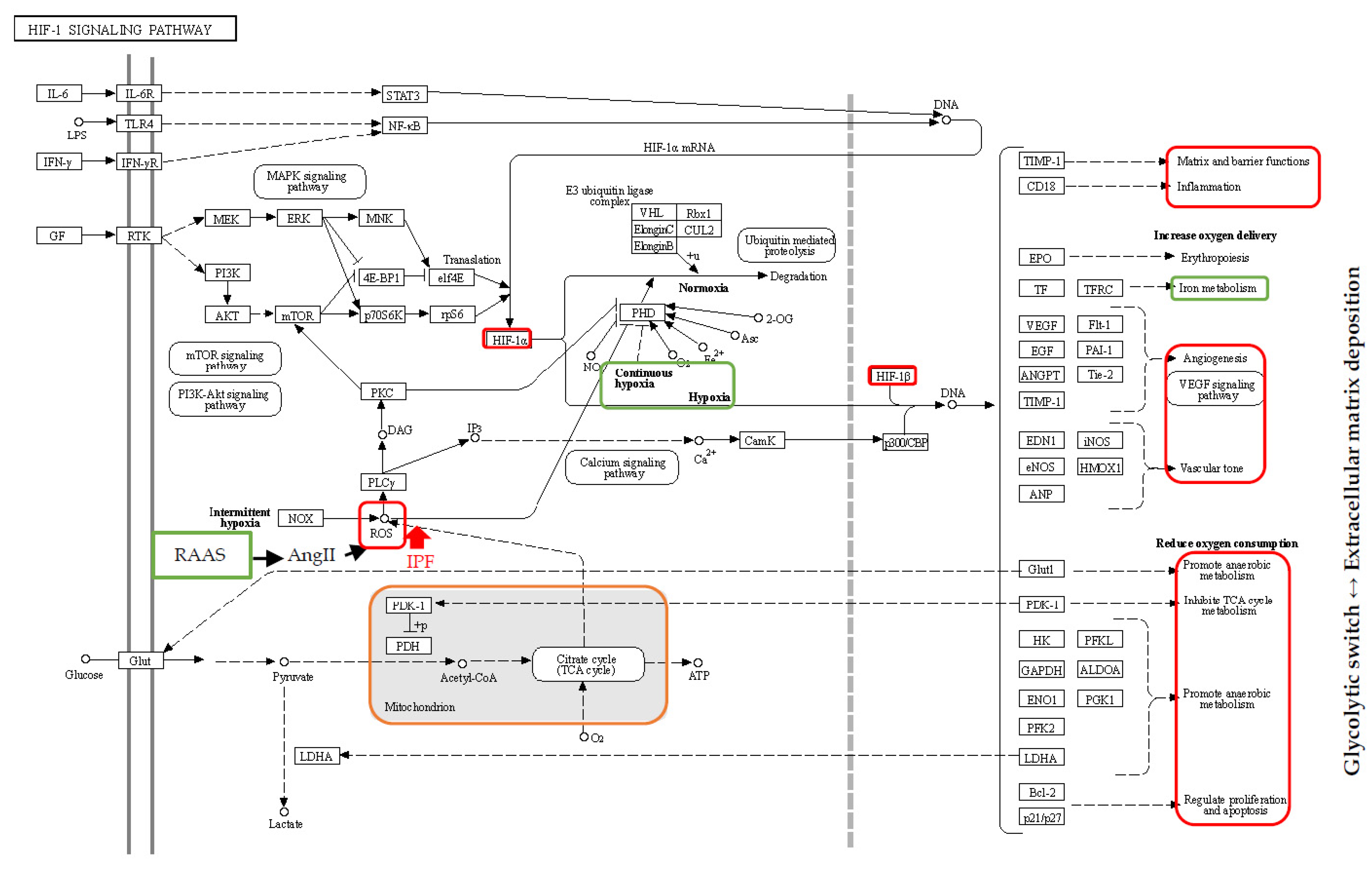 Ijms 21 05663 g002 Ijms 21 05663 g002