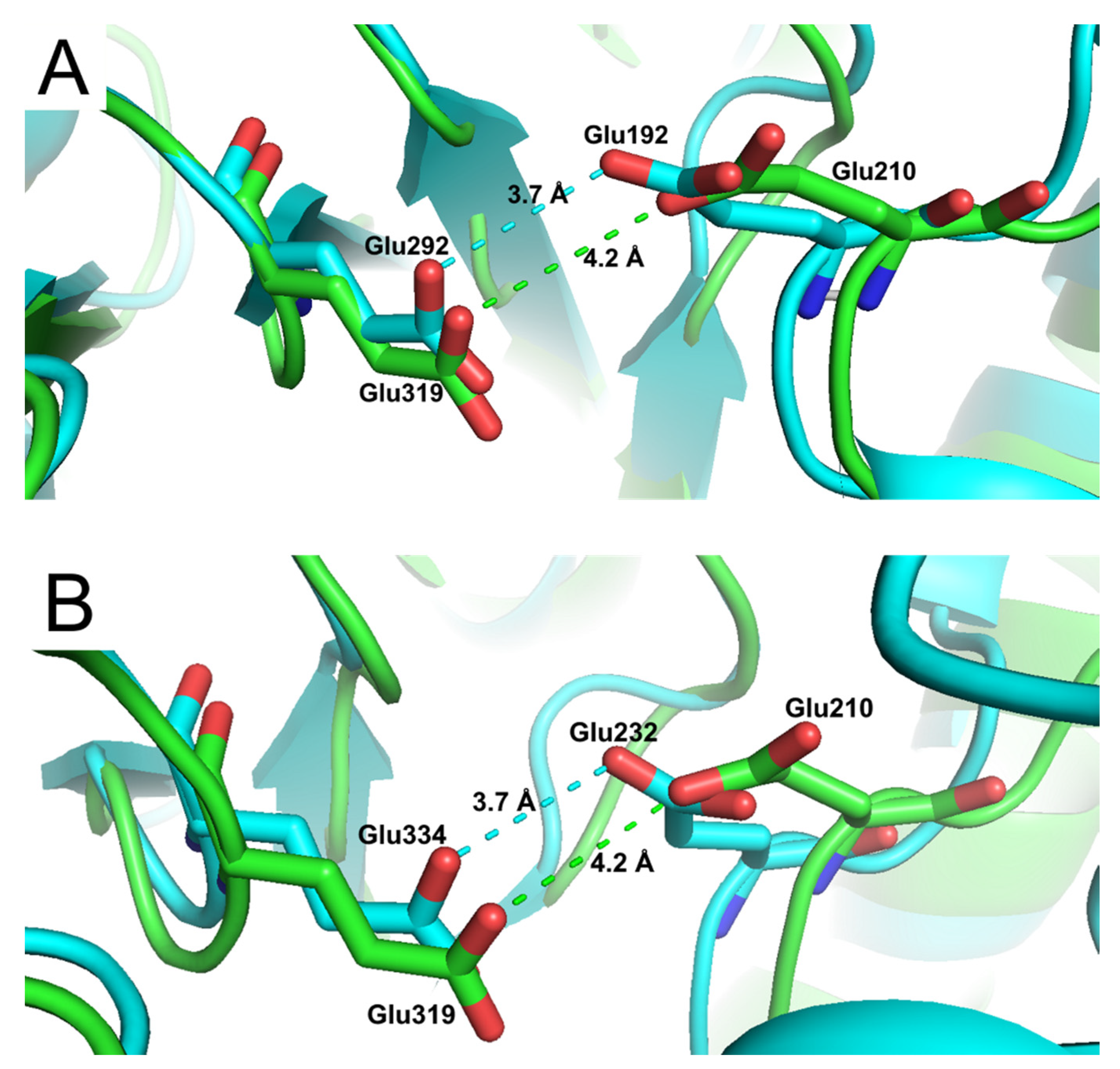 Ijms 21 05671 g004 Ijms 21 05671 g004