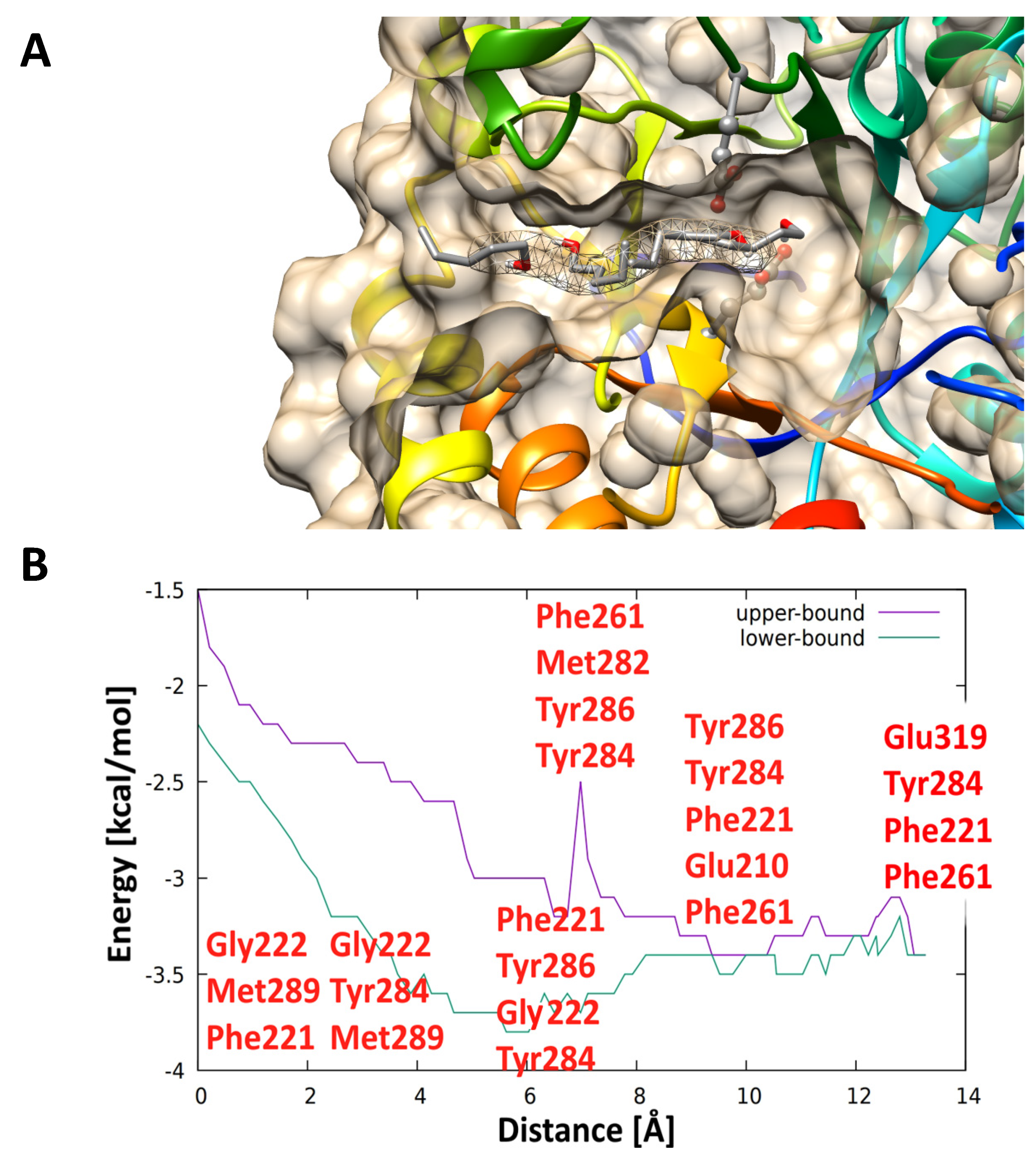 Ijms 21 05671 g007 Ijms 21 05671 g007