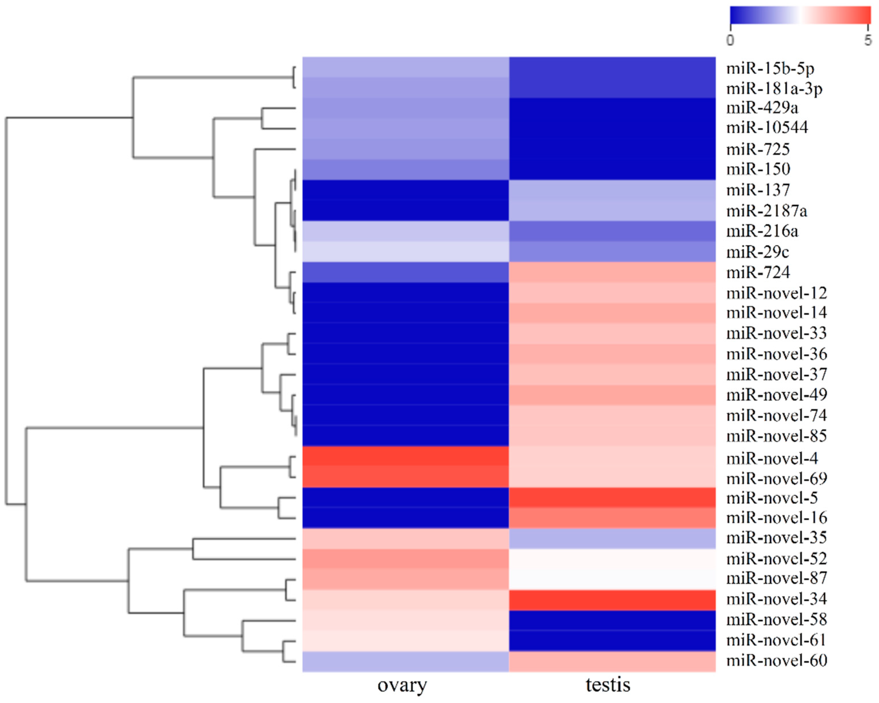 Ijms 21 05690 g004 Ijms 21 05690 g004