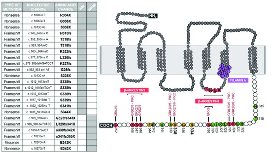 Viraemia – Viraemia Music | Viraemia