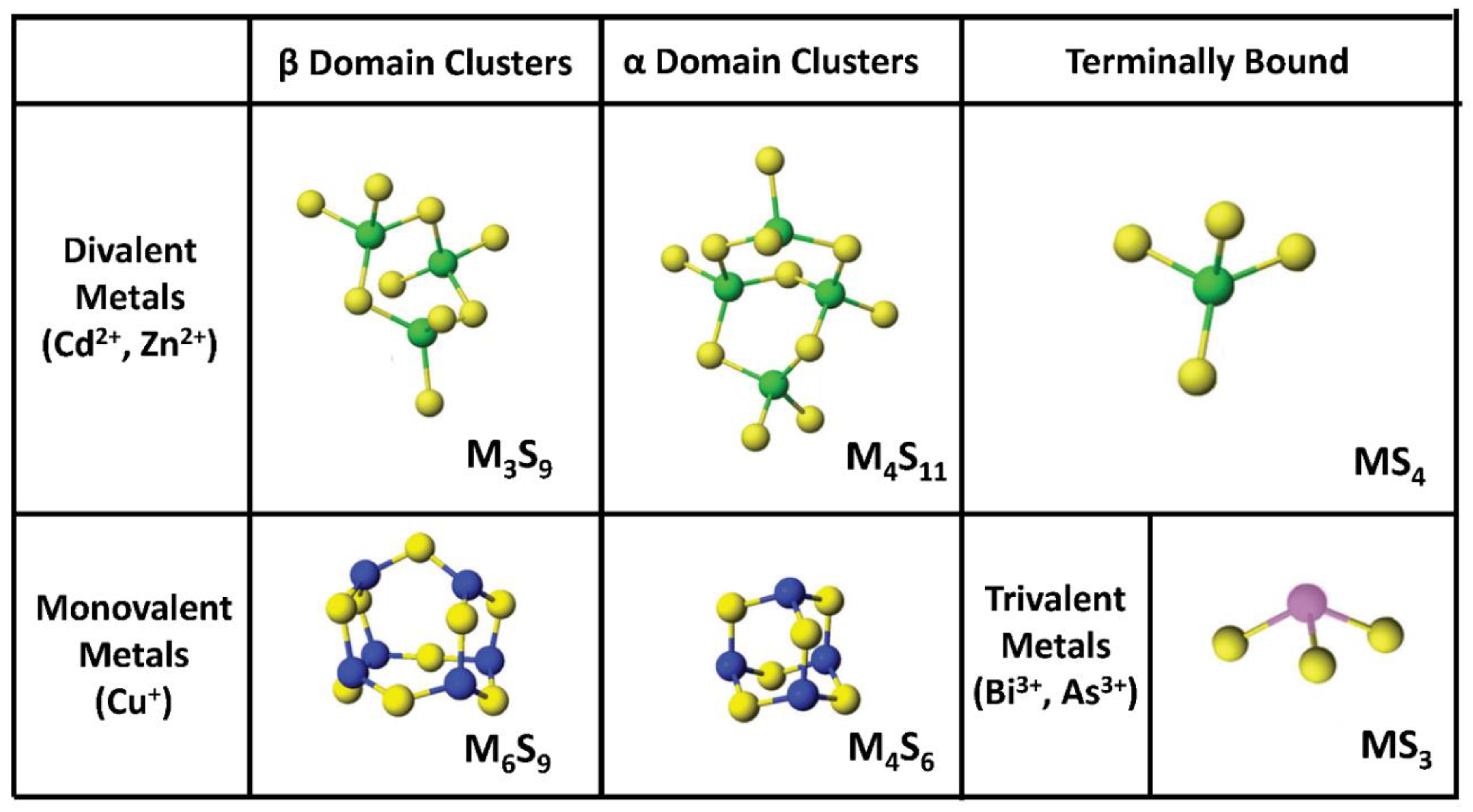 Ijms 21 05697 g002 Ijms 21 05697 g002