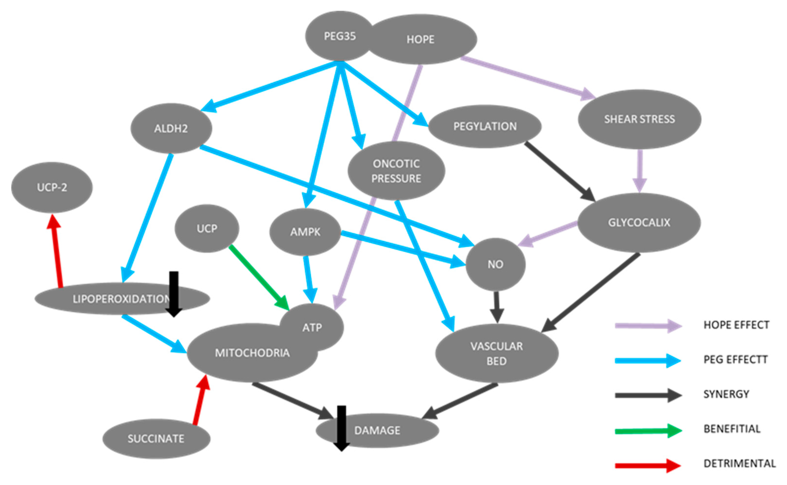 Ijms 21 05703 sch002