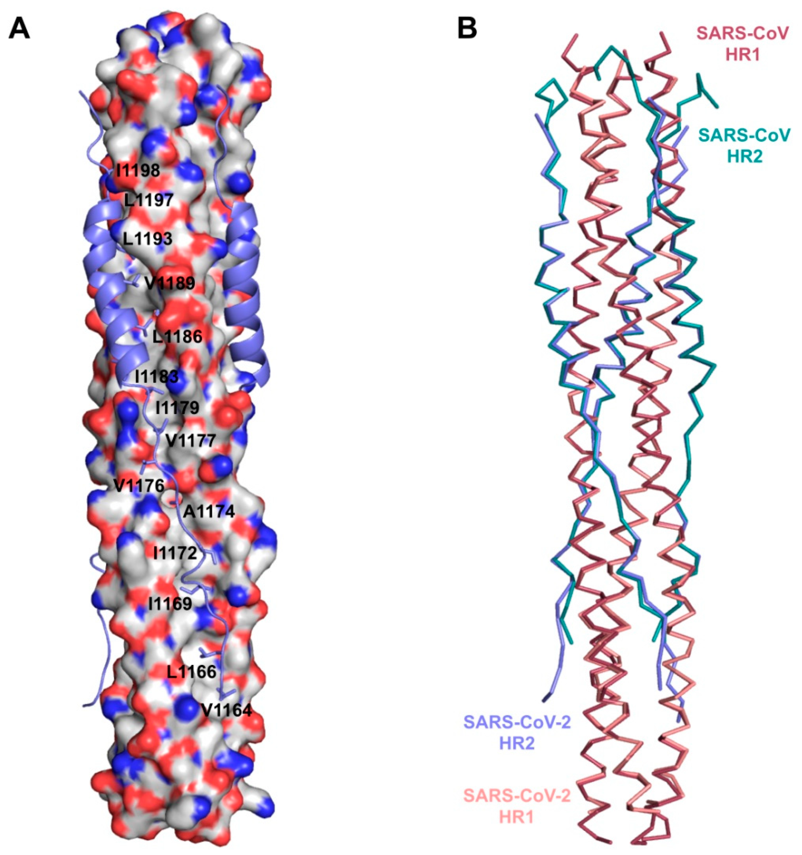 Ijms 21 05707 g005 Ijms 21 05707 g005