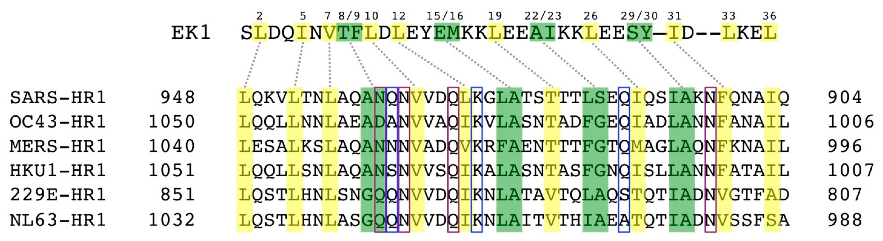 Ijms 21 05707 g007 Ijms 21 05707 g007