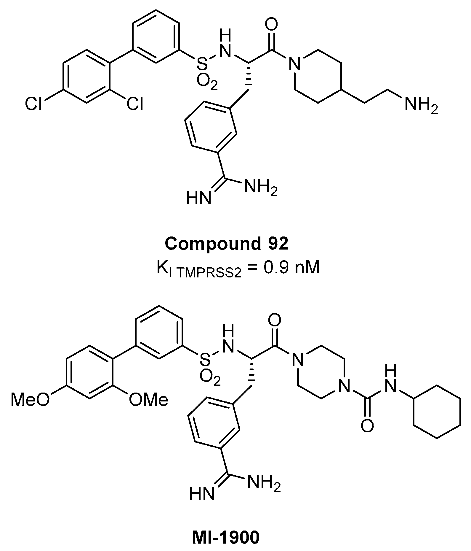 Ijms 21 05707 g013 Ijms 21 05707 g013