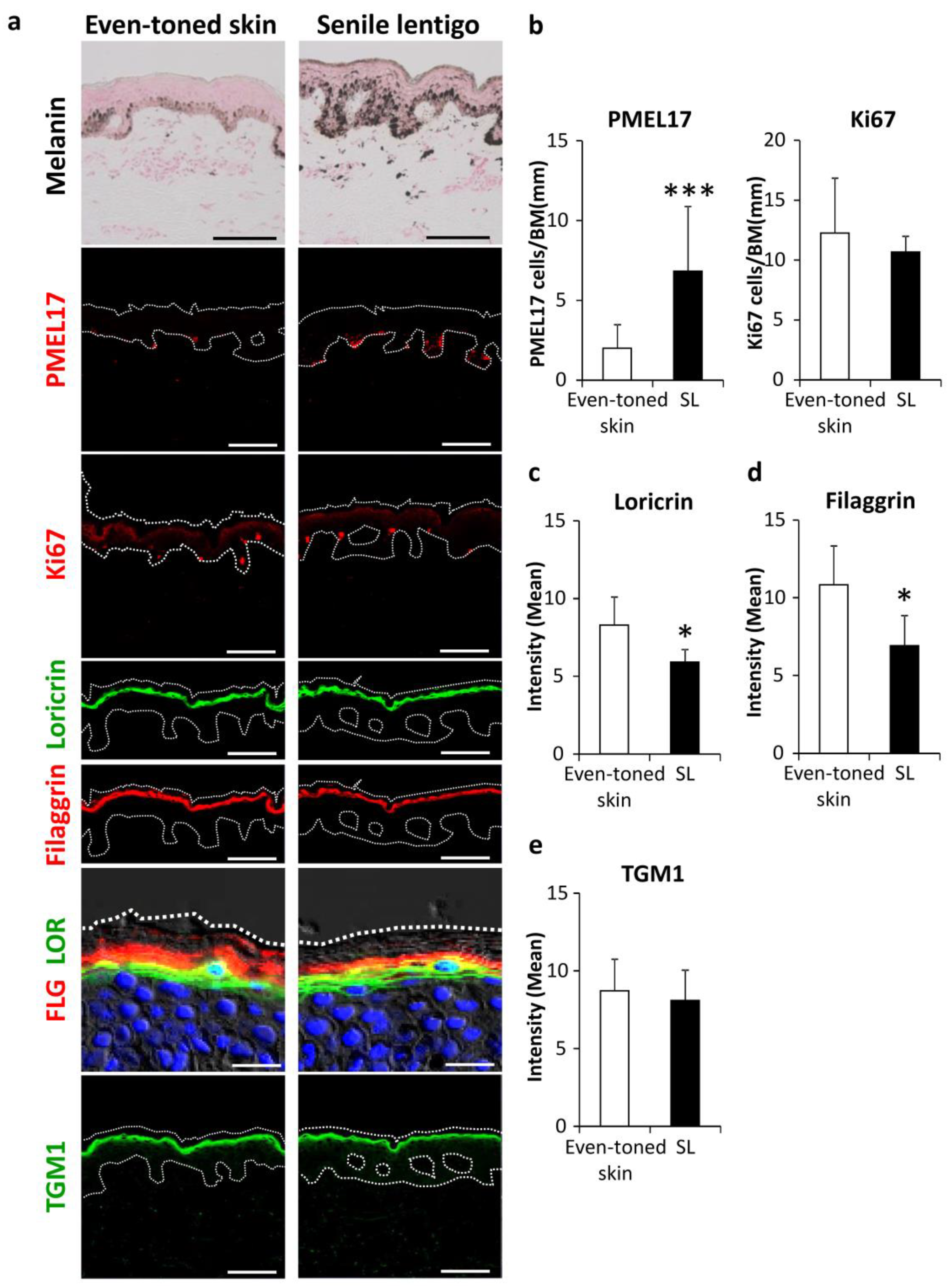 Ijms 21 05708 g001 Ijms 21 05708 g001