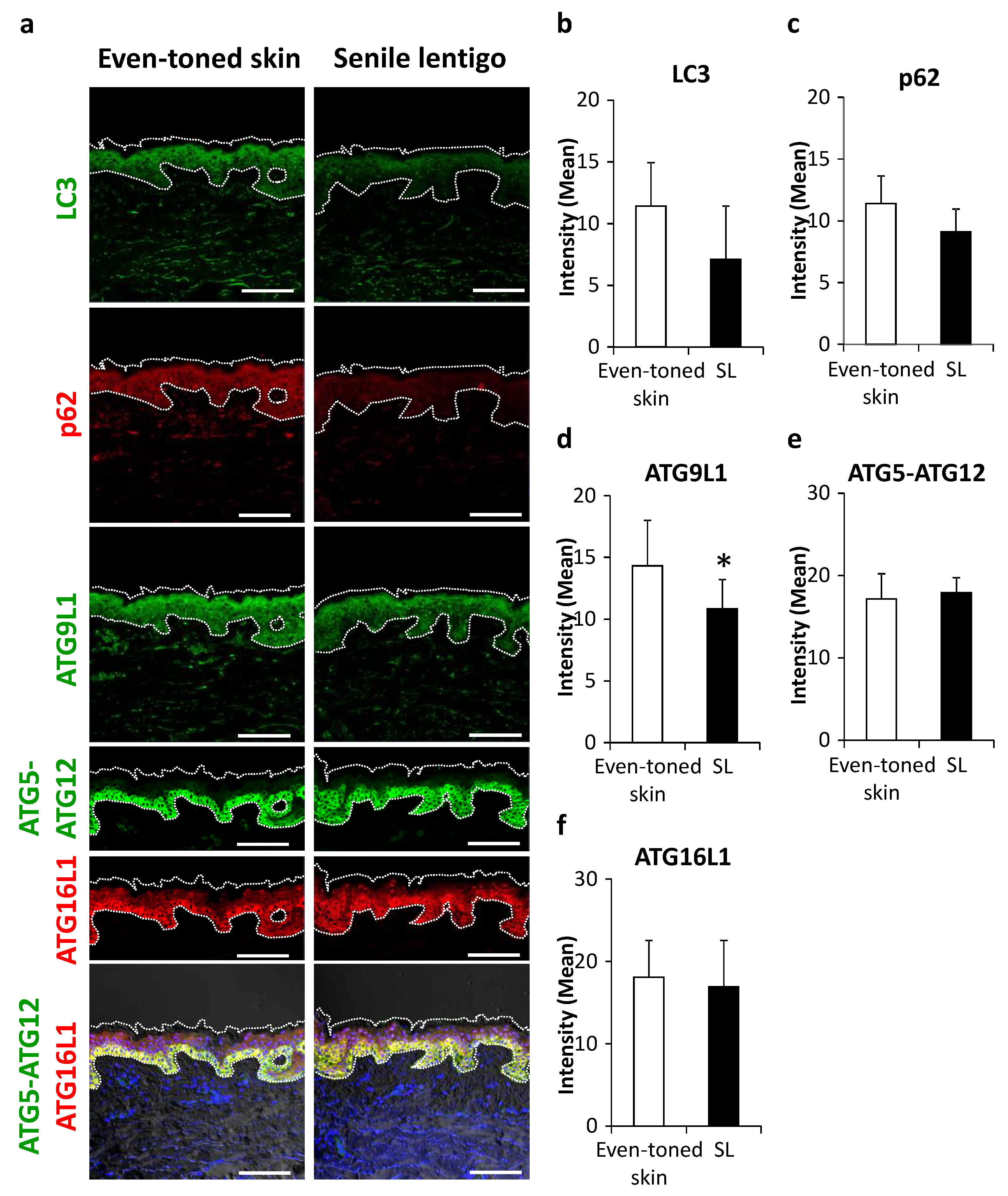 Ijms 21 05708 g002 Ijms 21 05708 g002