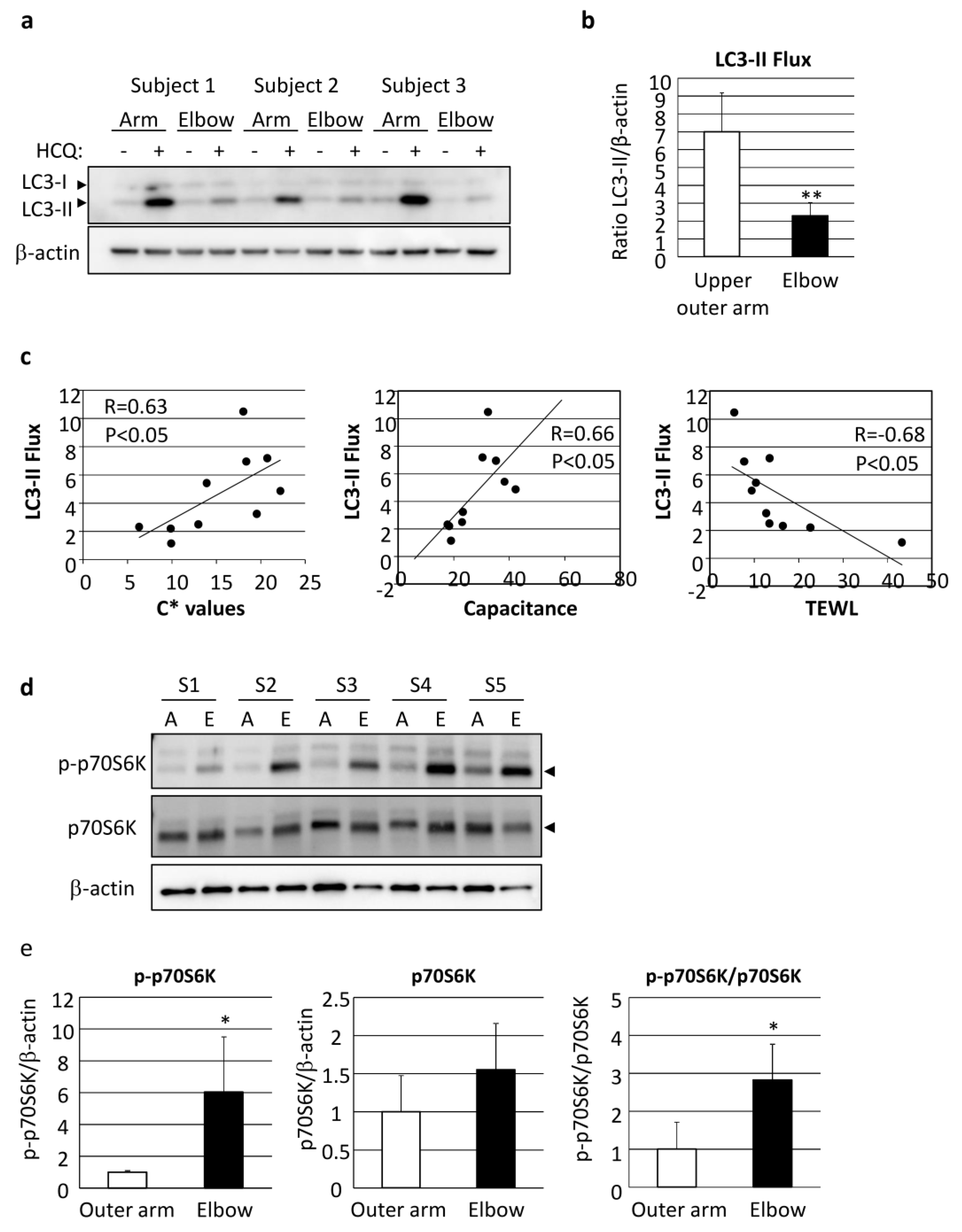 Ijms 21 05708 g006 Ijms 21 05708 g006