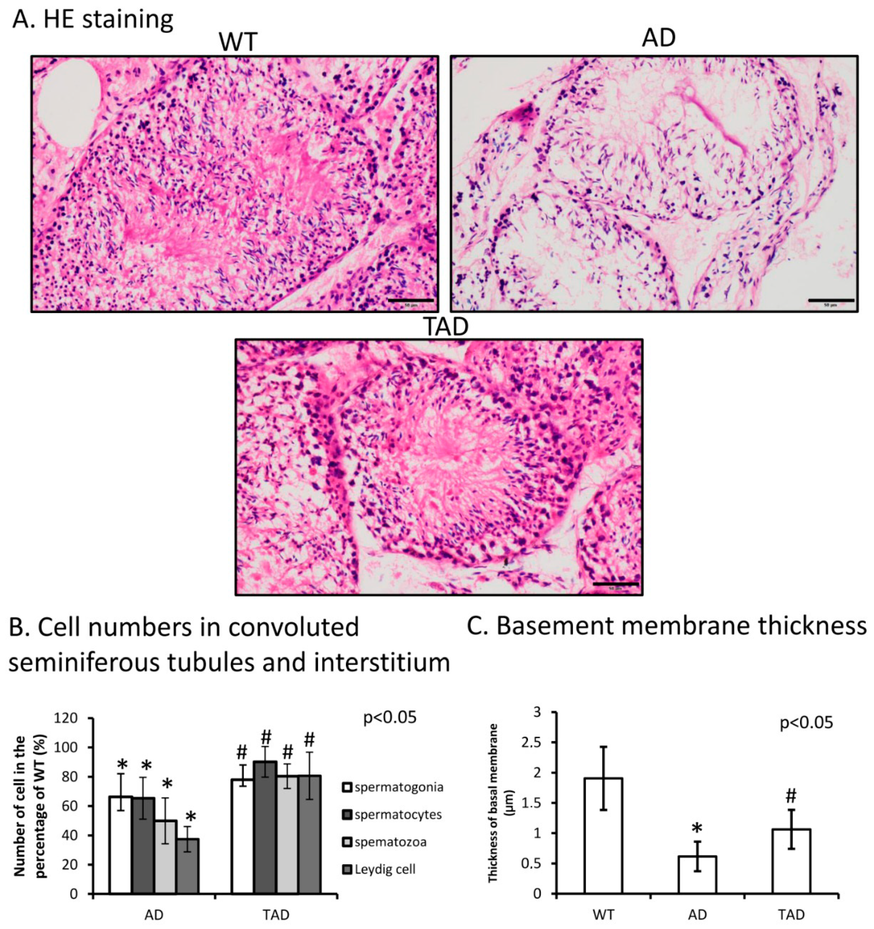Ijms 21 05726 g001 Ijms 21 05726 g001