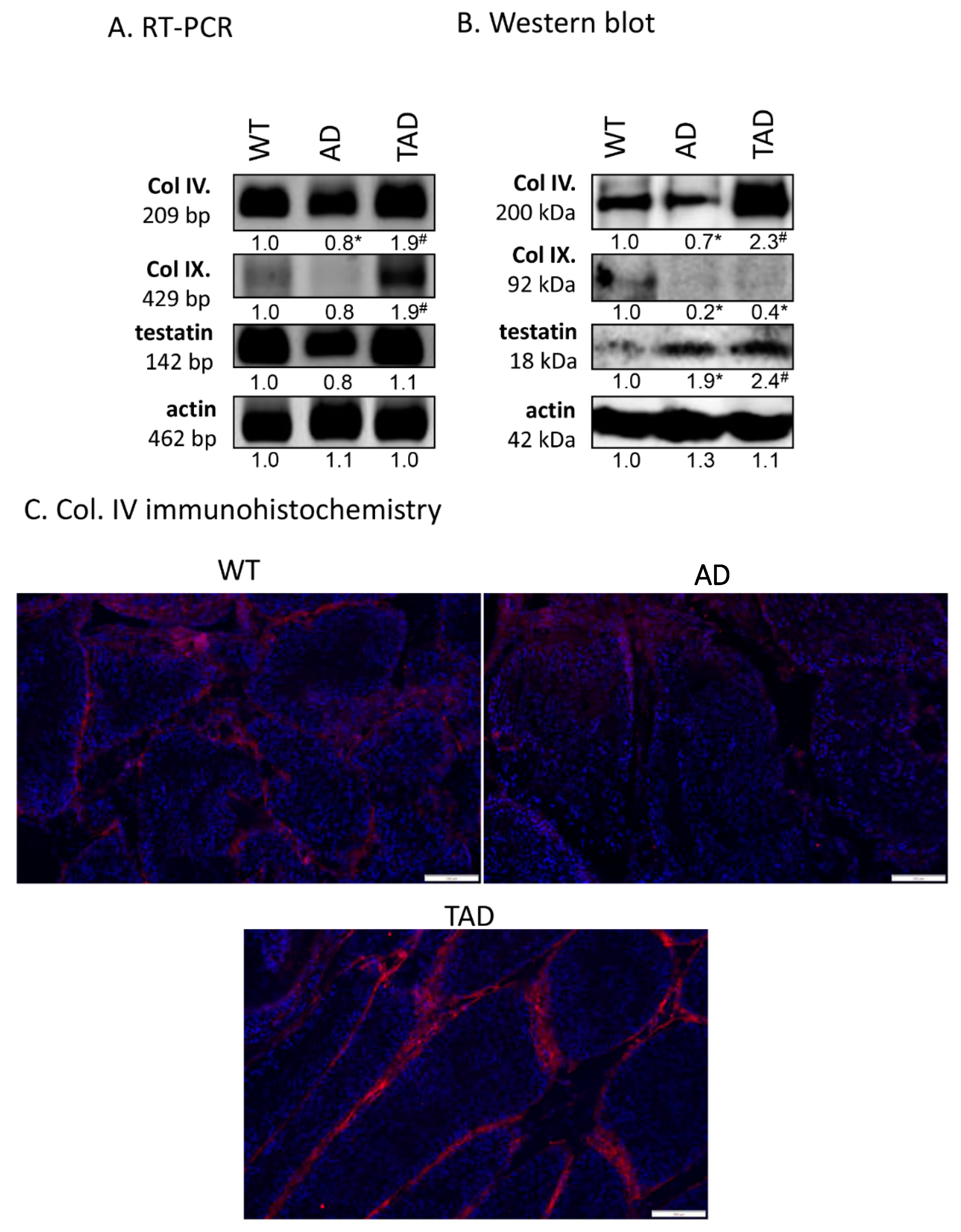 Ijms 21 05726 g004 Ijms 21 05726 g004