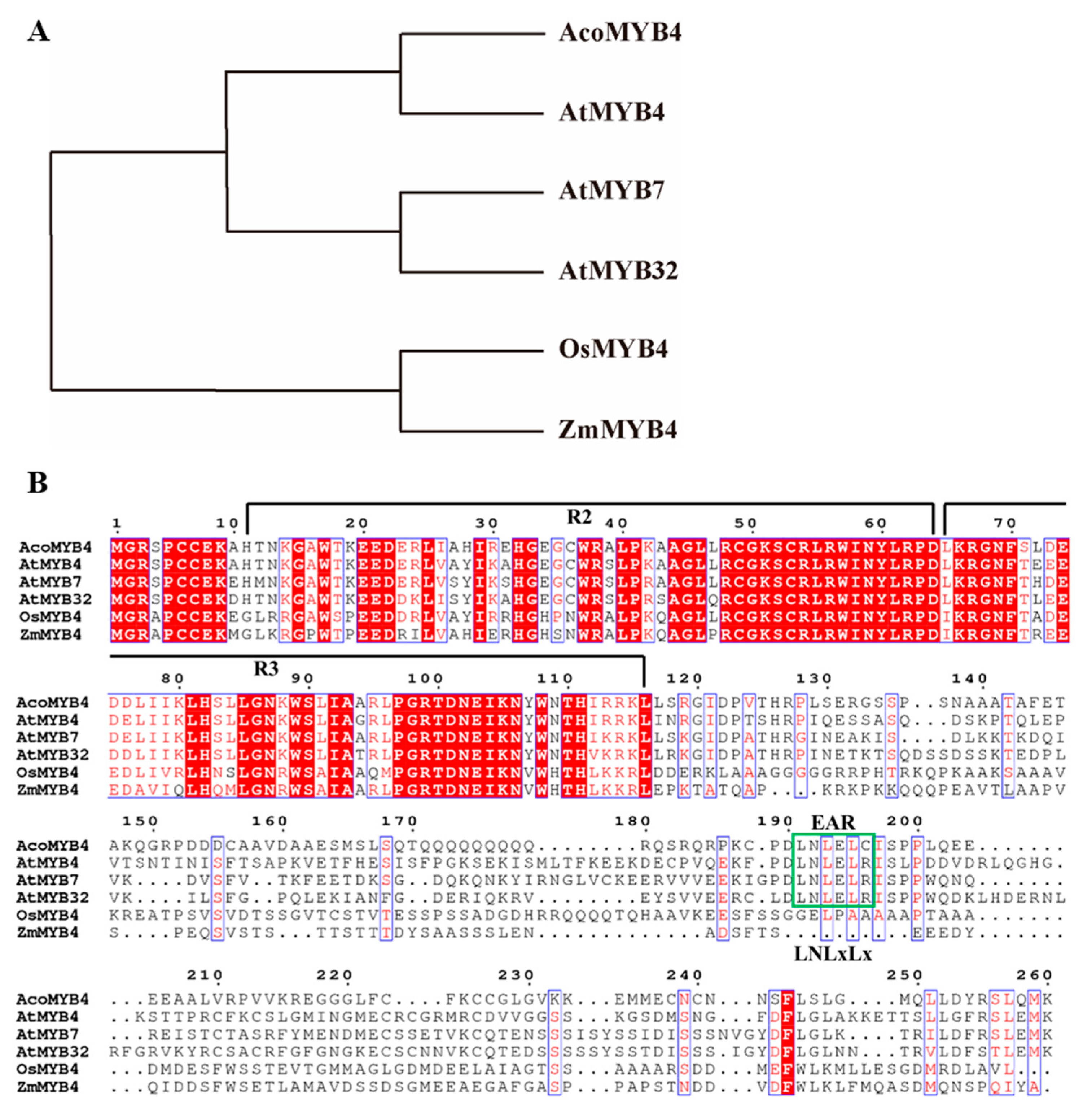 Ijms 21 05727 g001 Ijms 21 05727 g001