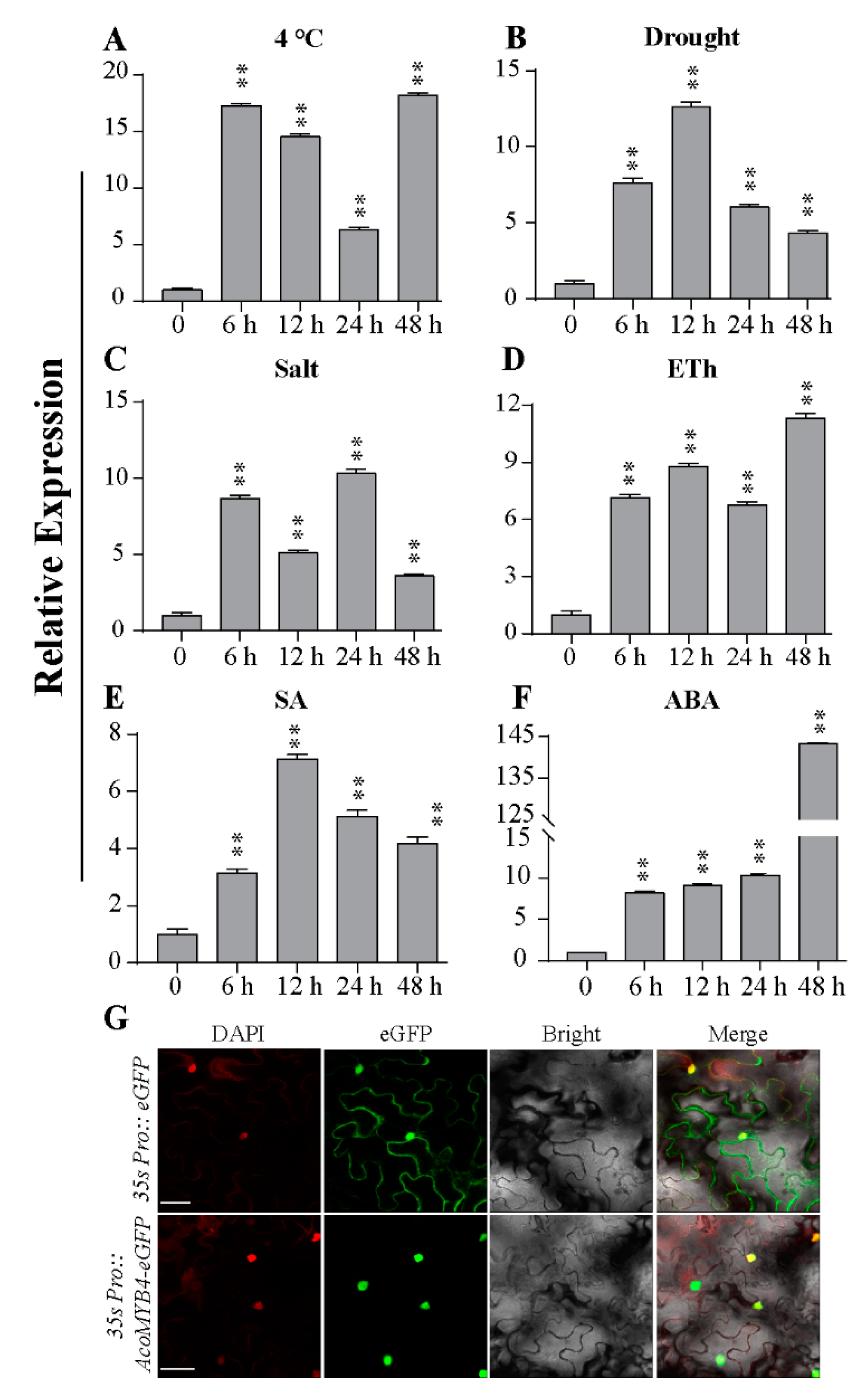 Ijms 21 05727 g002 Ijms 21 05727 g002