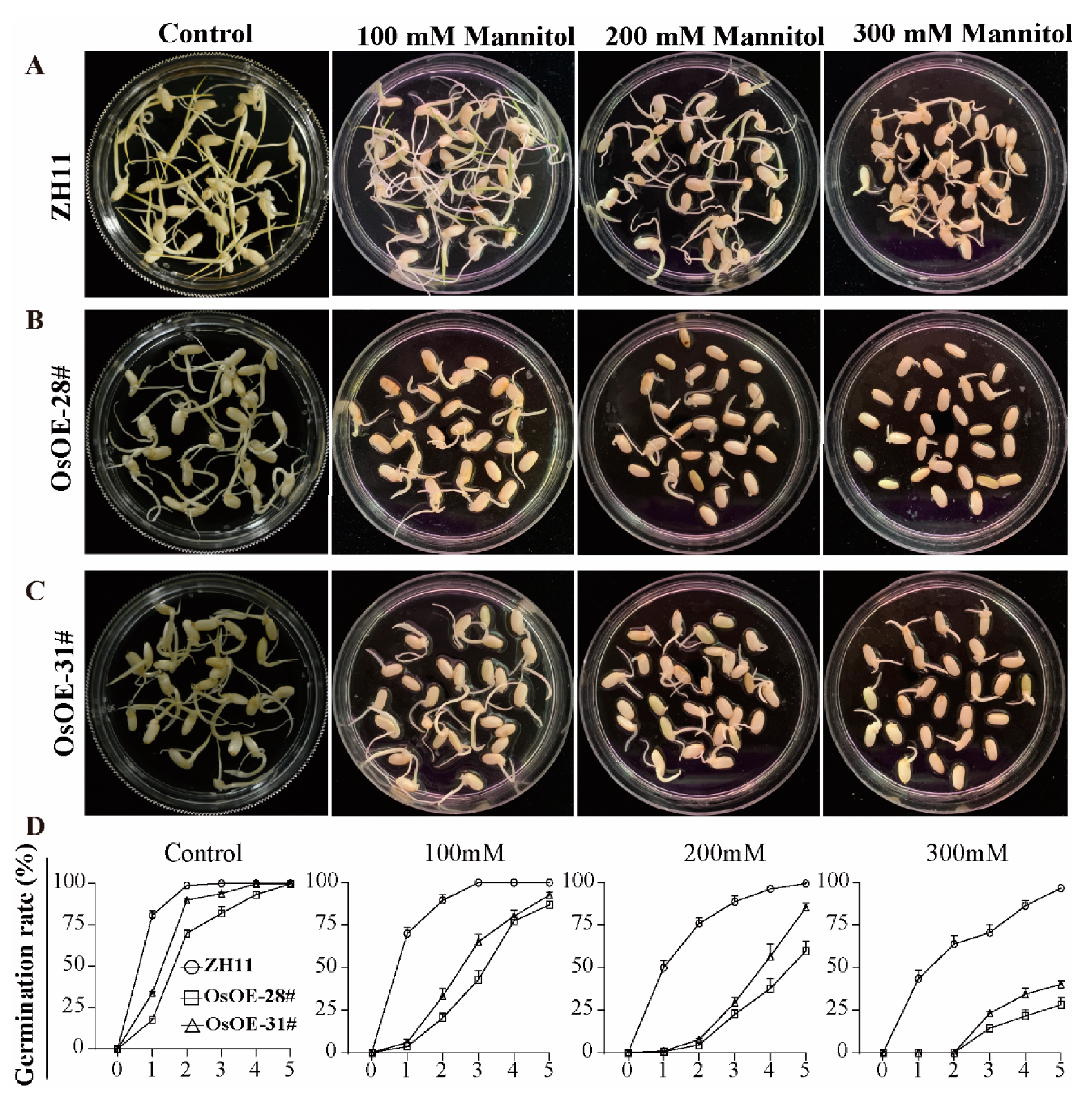 Ijms 21 05727 g004 Ijms 21 05727 g004