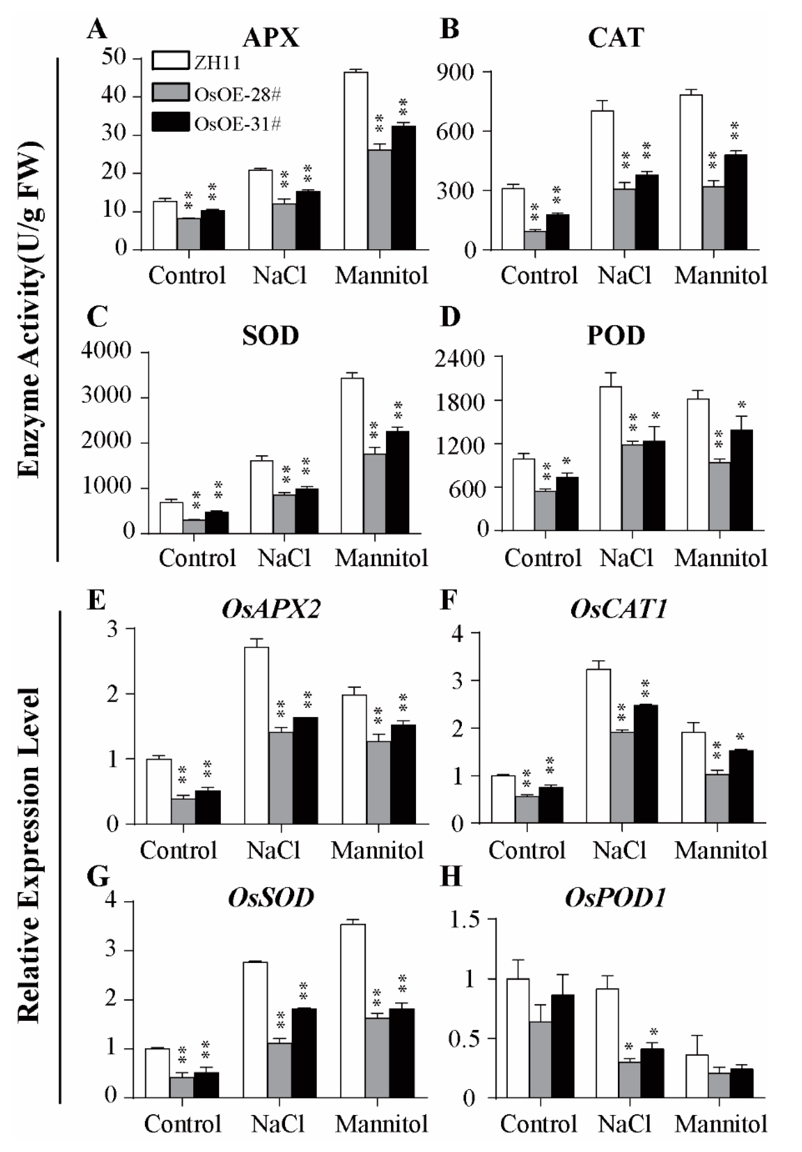 Ijms 21 05727 g005 Ijms 21 05727 g005