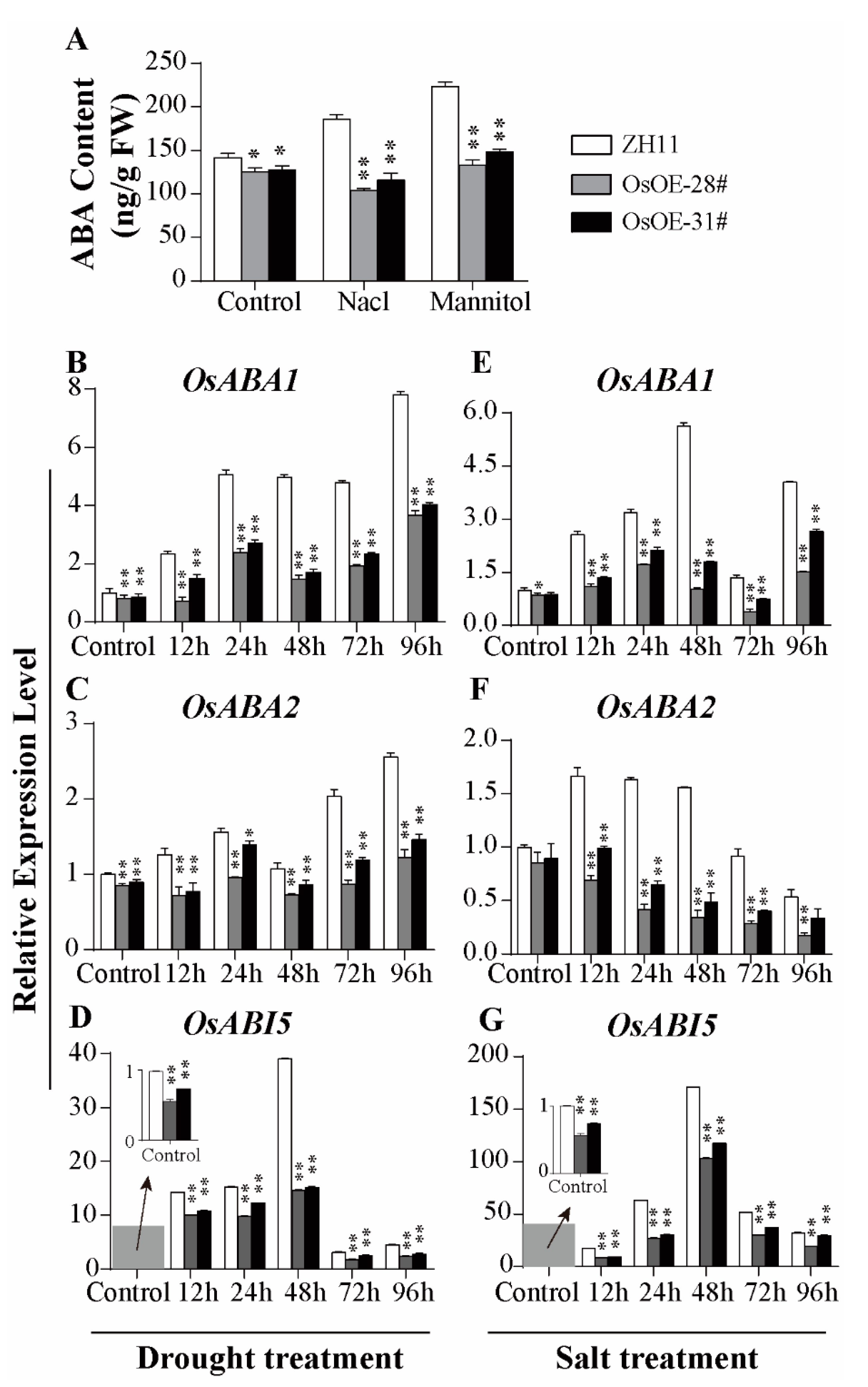 Ijms 21 05727 g007 Ijms 21 05727 g007