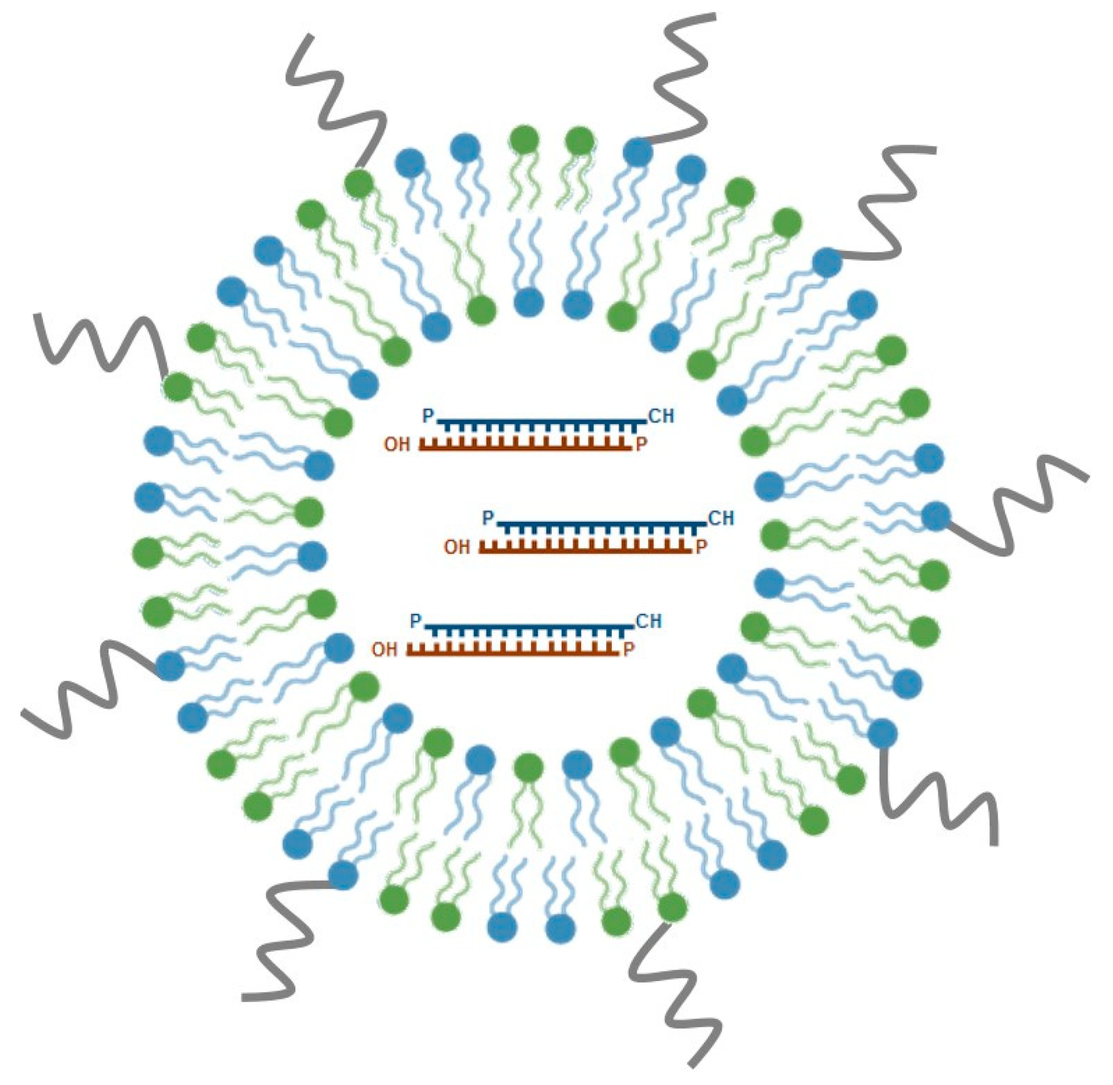 Ijms 21 05732 g003 Ijms 21 05732 g003