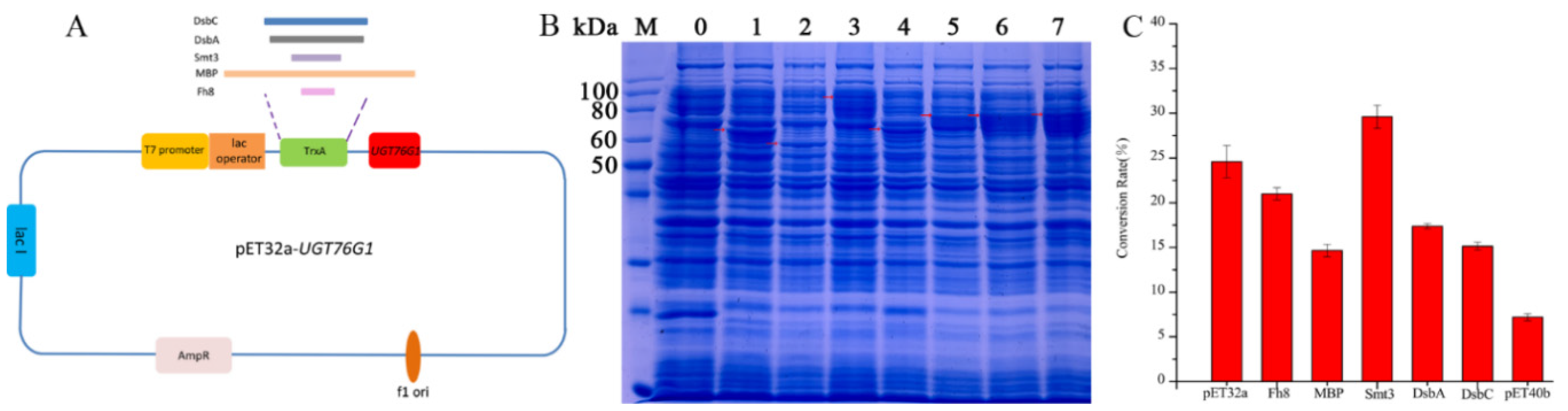 IJMS | Free Full-Text | Enhanced Heterologous Production of 