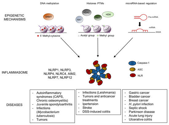 Epigenetic Mechanisms of Inflammasome Regulation Epigenetic Mechanisms of Inflammasome Regulation
