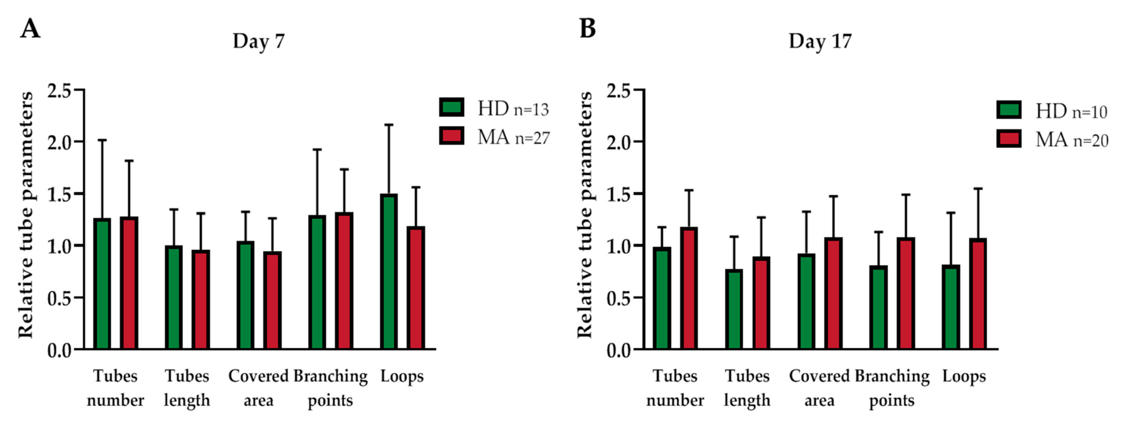 Ijms 21 05763 g006 Ijms 21 05763 g006