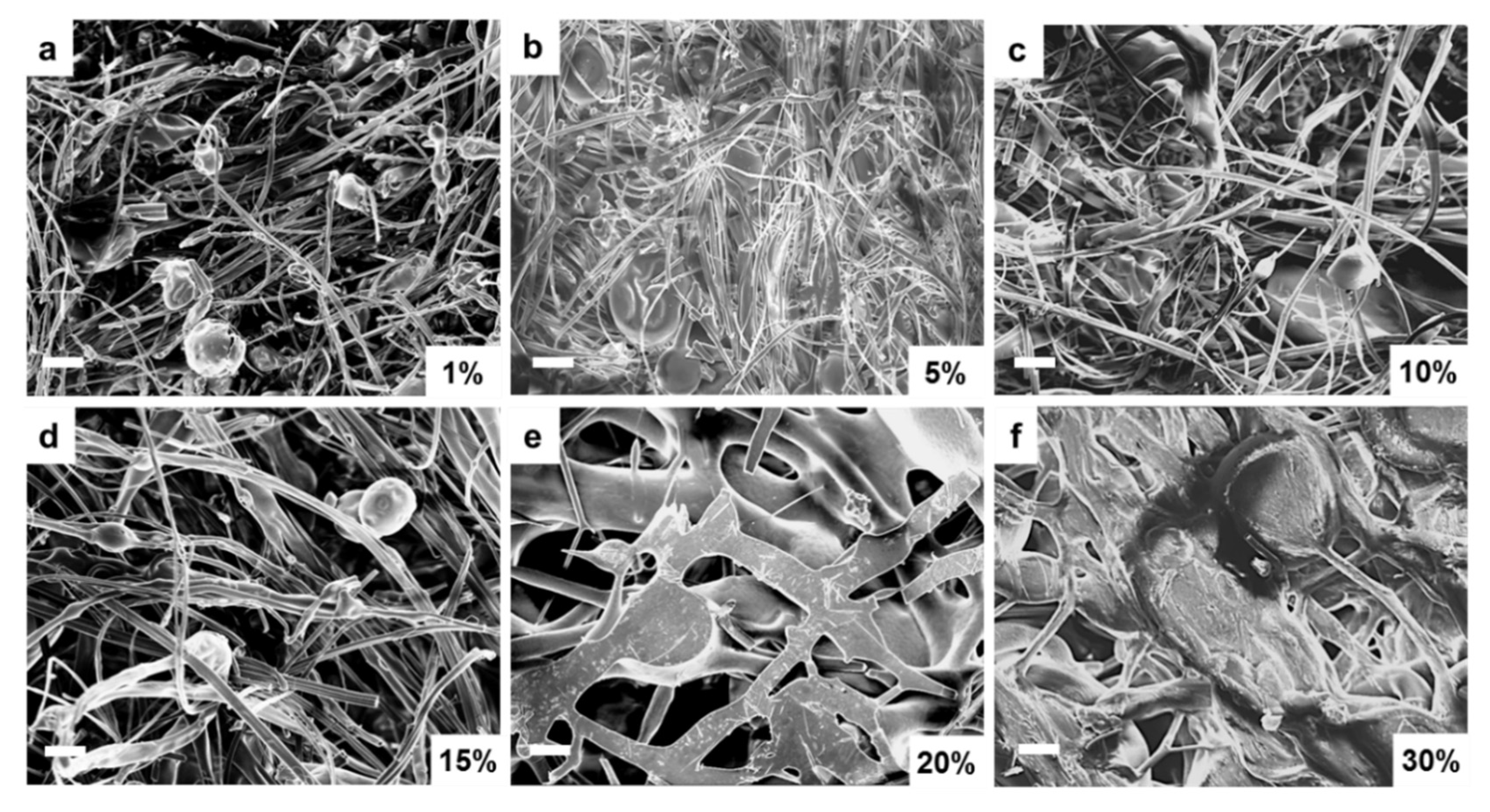 Ijms 21 05780 g007 Ijms 21 05780 g007