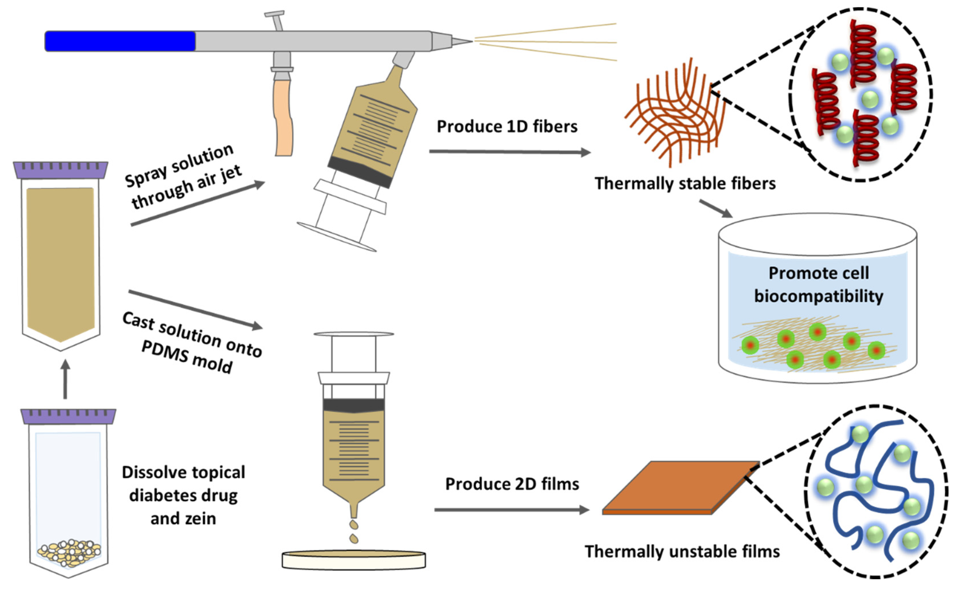 Ijms 21 05780 g011 Ijms 21 05780 g011