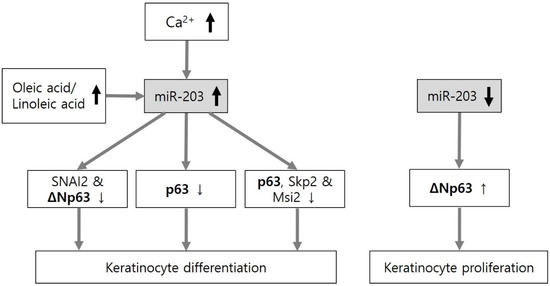 Synergistic effects of NaAlH4, LiBH4, and Ni additives on