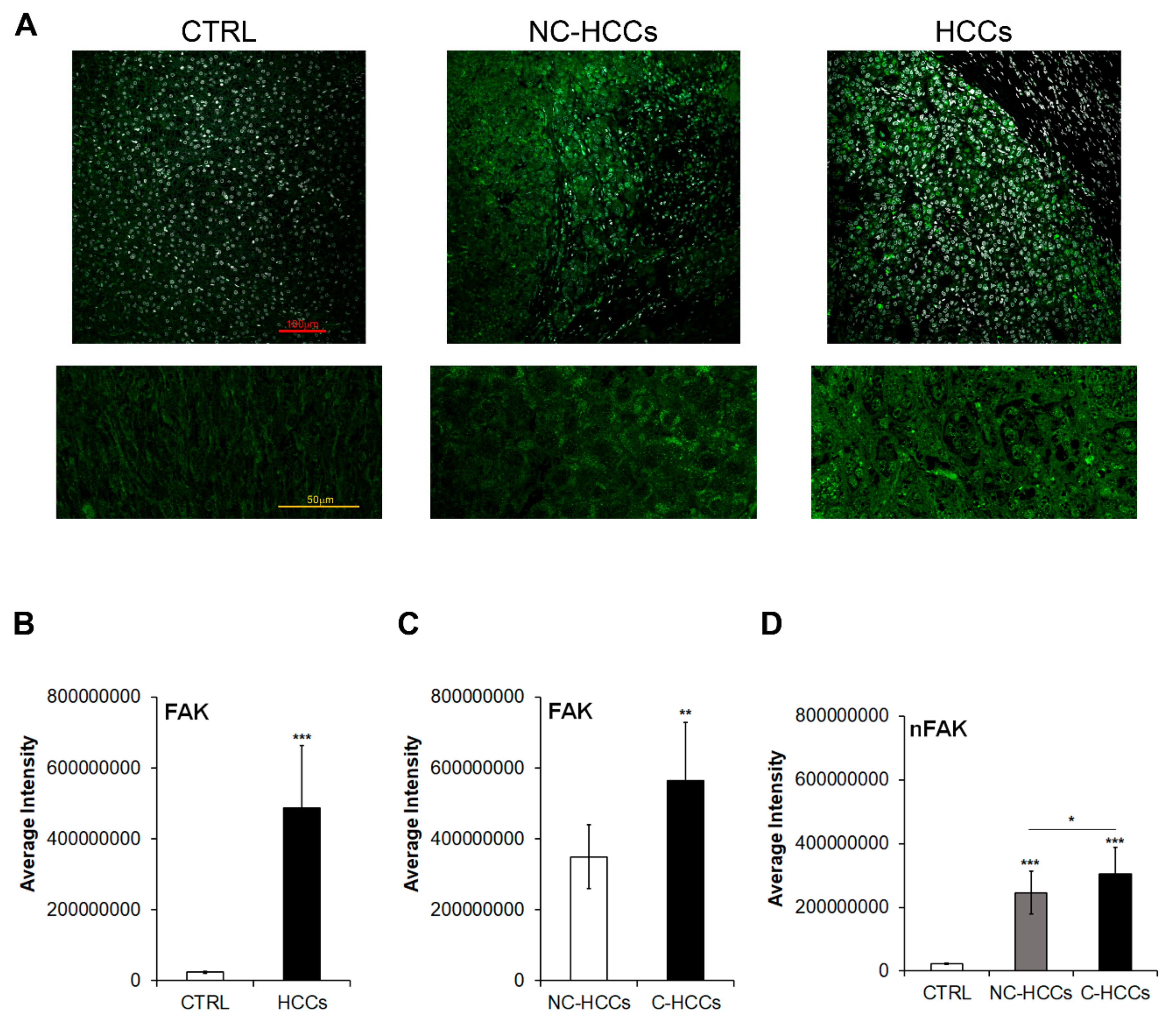 Ijms 21 05795 g001 Ijms 21 05795 g001