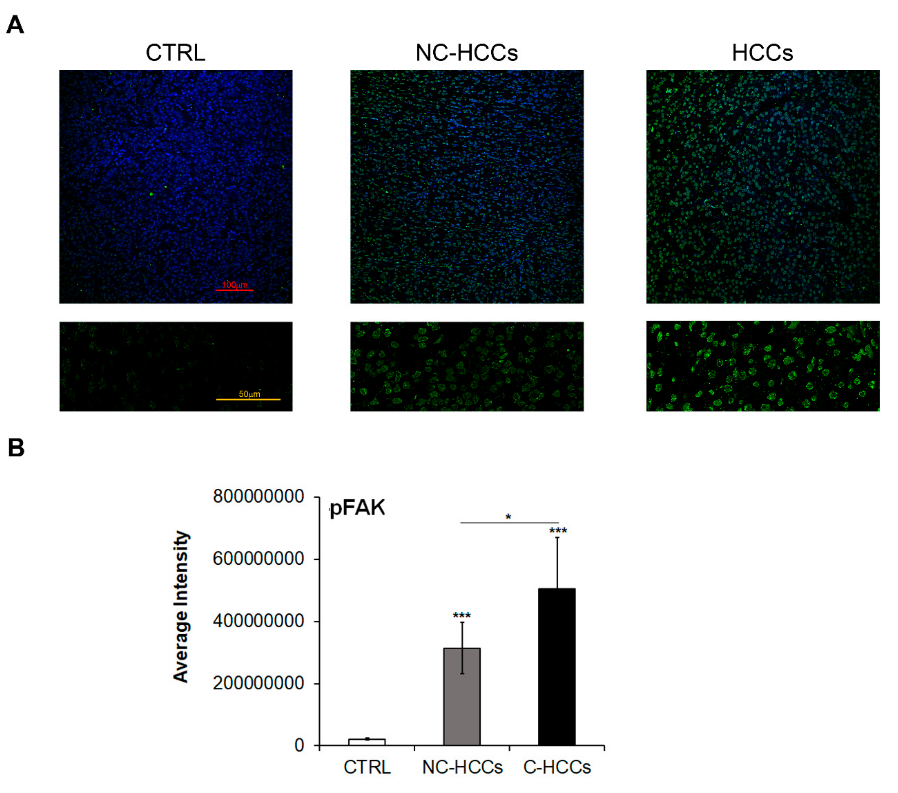 Ijms 21 05795 g003 Ijms 21 05795 g003