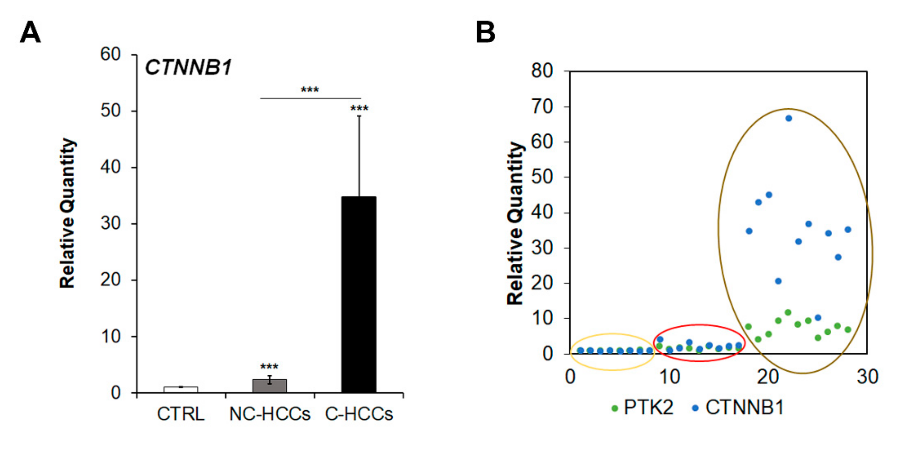Ijms 21 05795 g006 Ijms 21 05795 g006