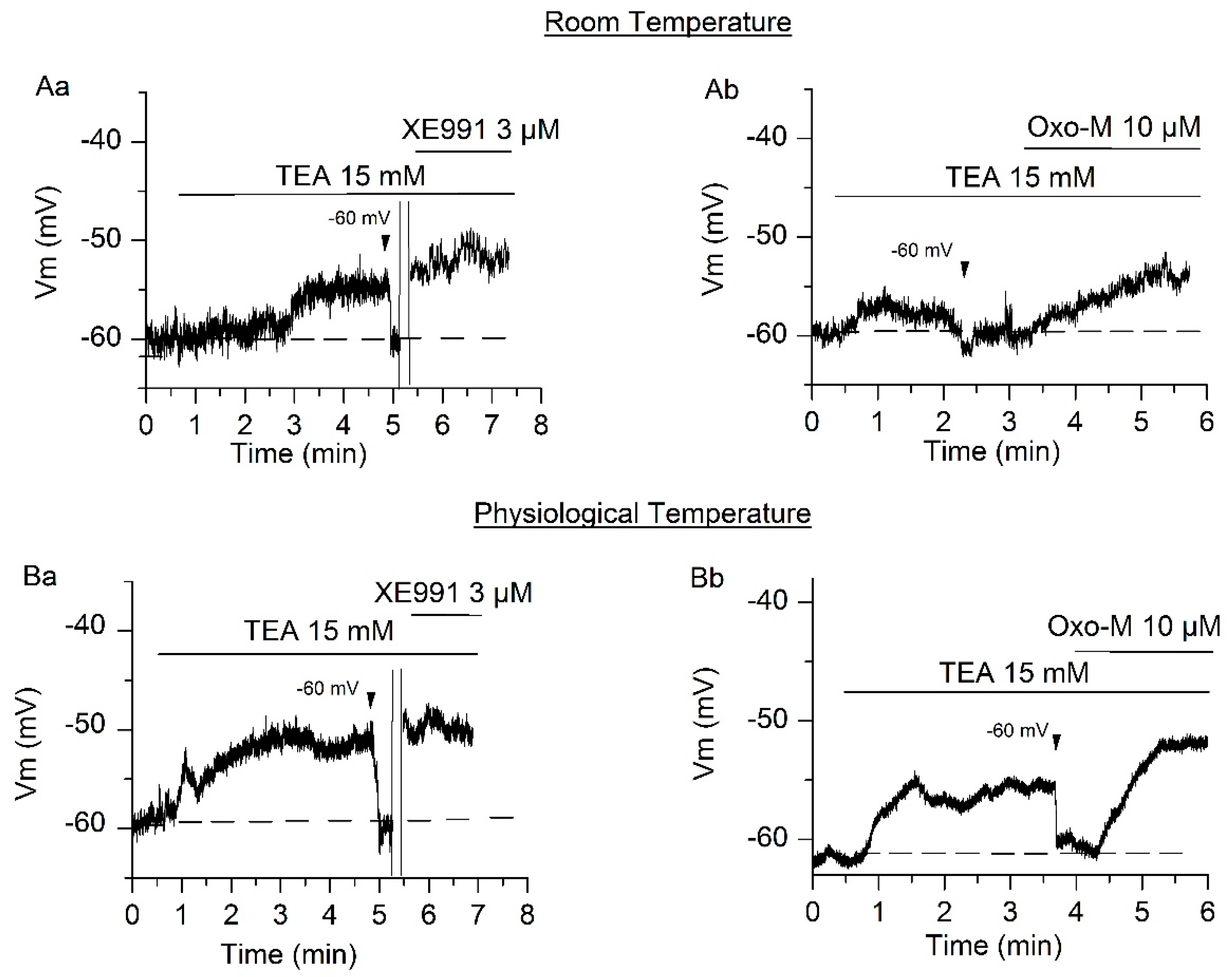Ijms 21 05796 g004 Ijms 21 05796 g004