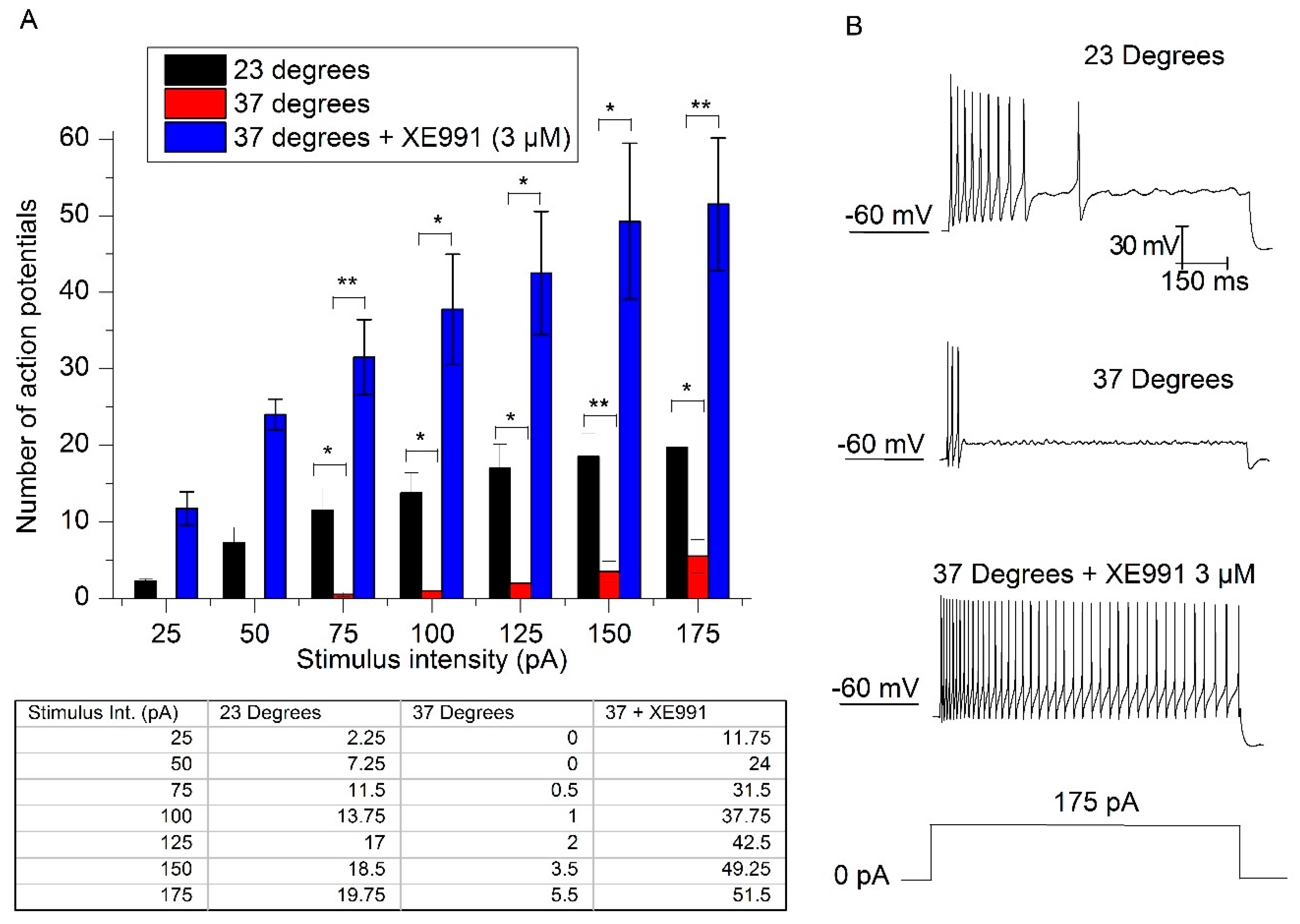 Ijms 21 05796 g005 Ijms 21 05796 g005