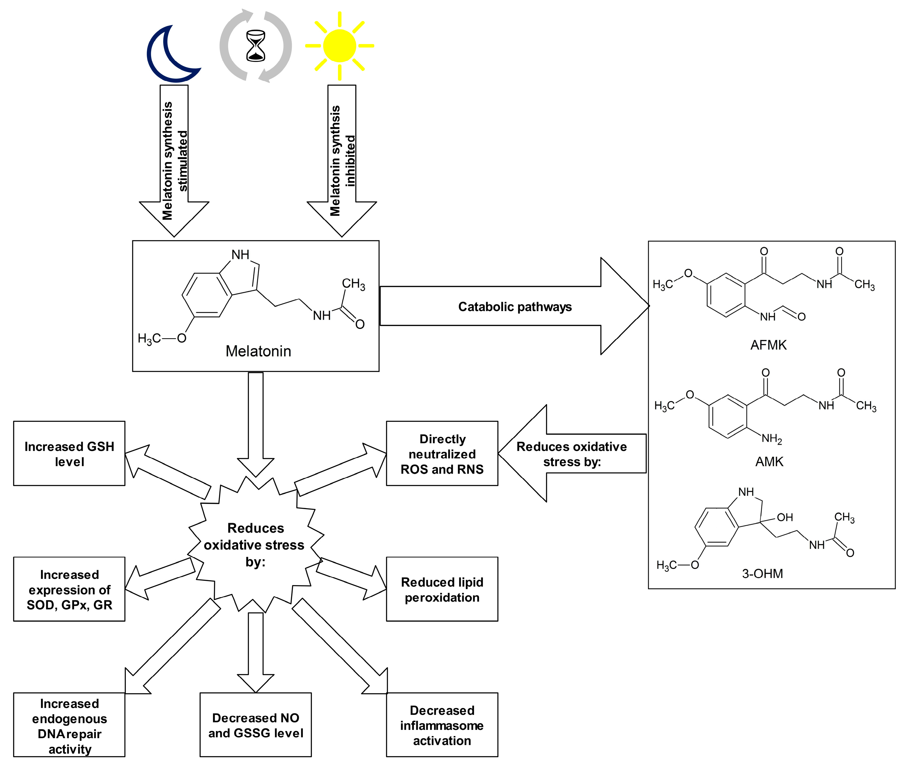 Ijms 21 05804 g001 Ijms 21 05804 g001