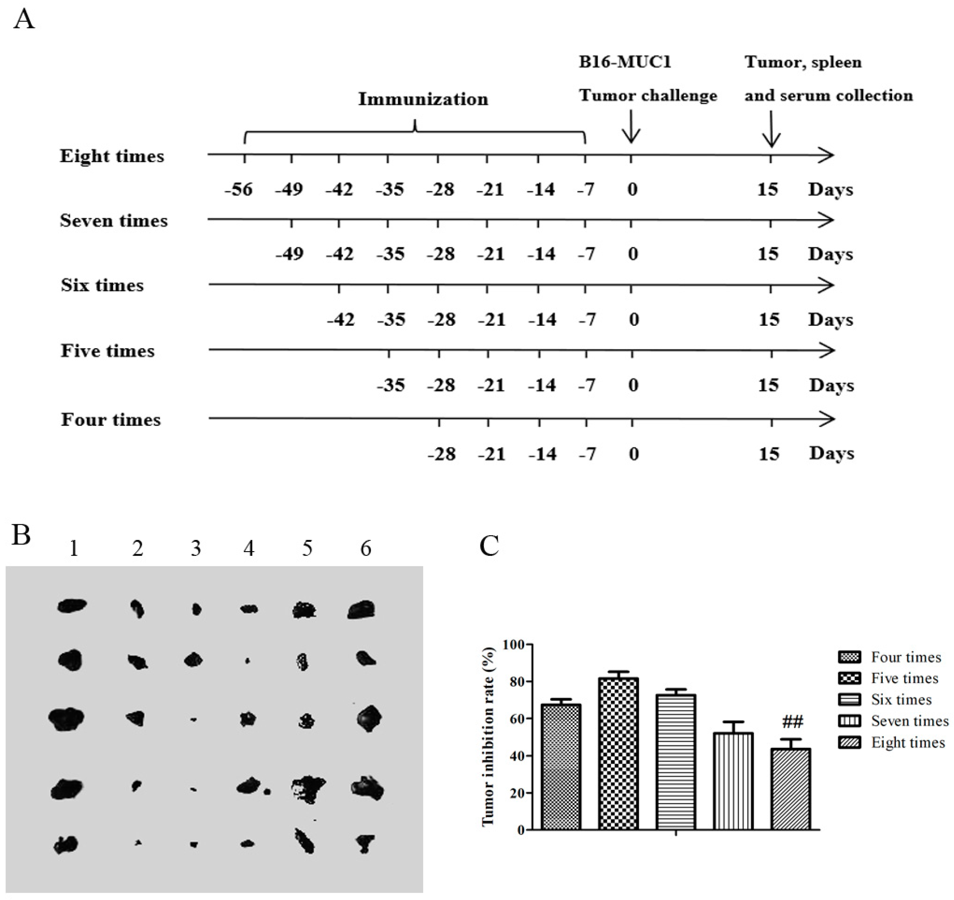 Ijms 21 05810 g001 Ijms 21 05810 g001