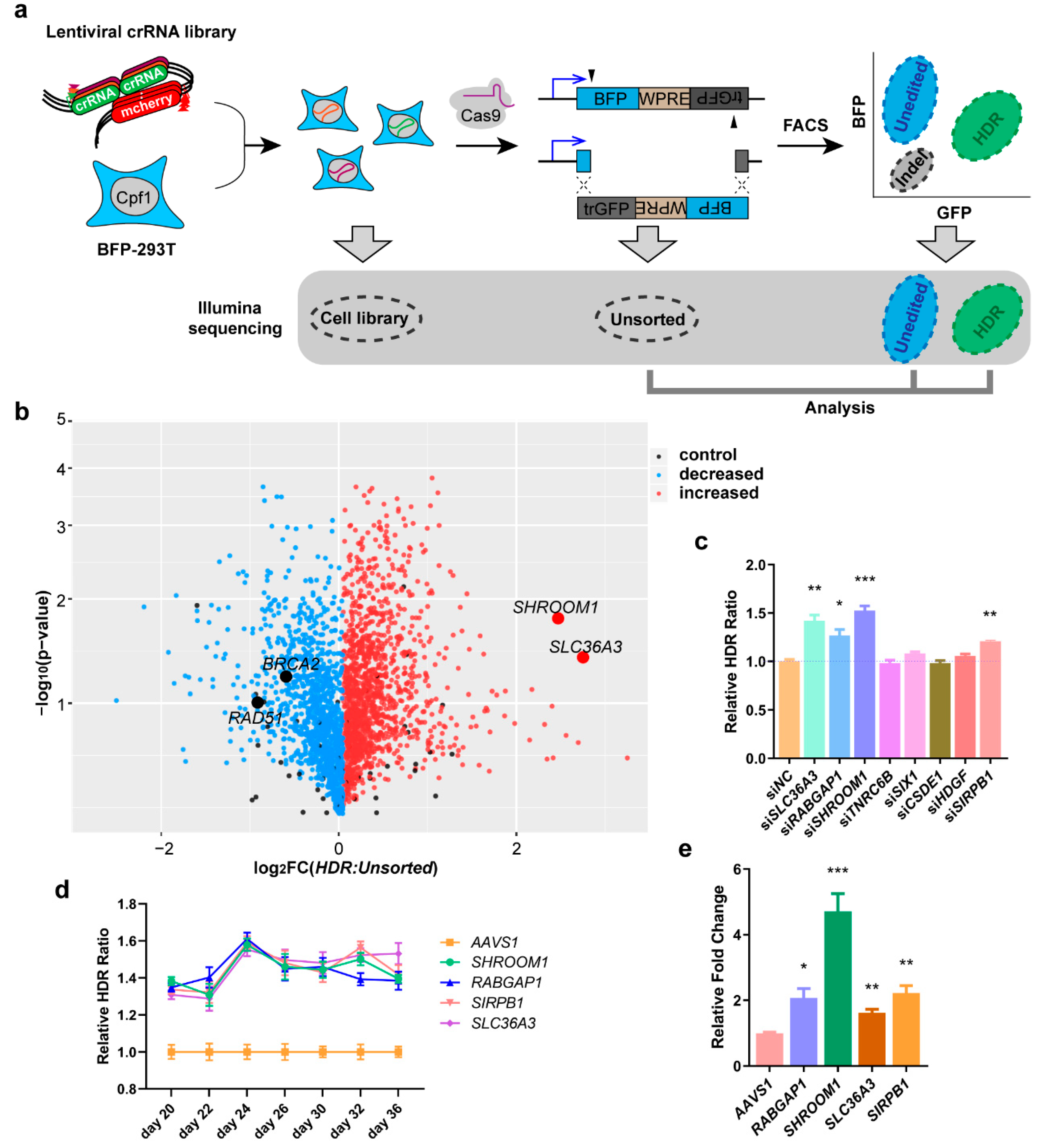 Ijms 21 05821 g002 Ijms 21 05821 g002