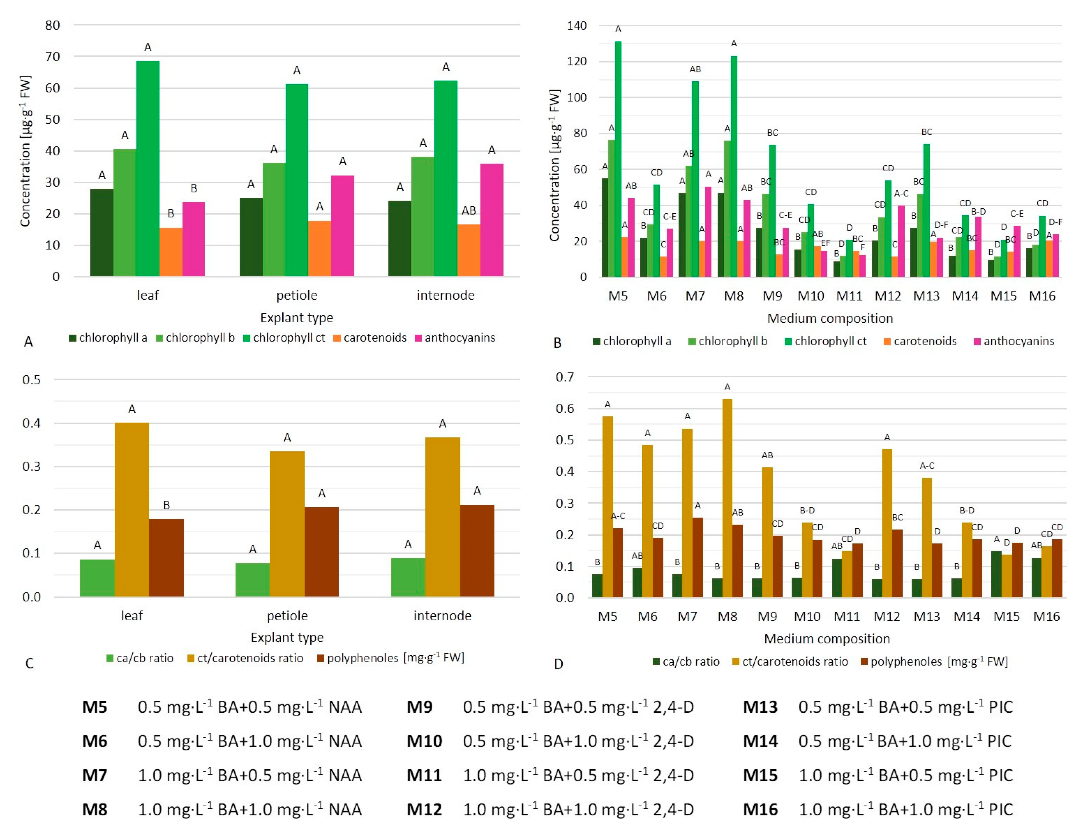 Ijms 21 05826 g003 Ijms 21 05826 g003