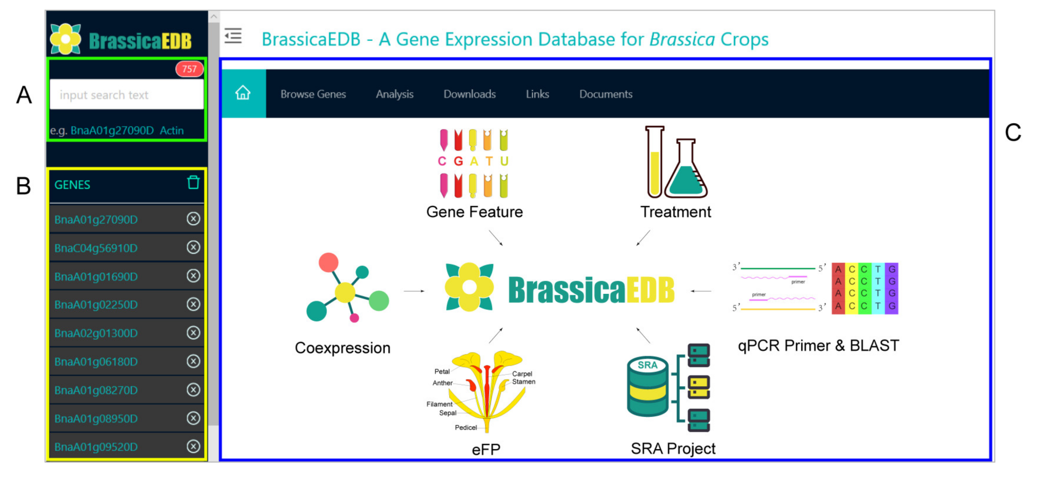 Ijms 21 05831 g005 Ijms 21 05831 g005