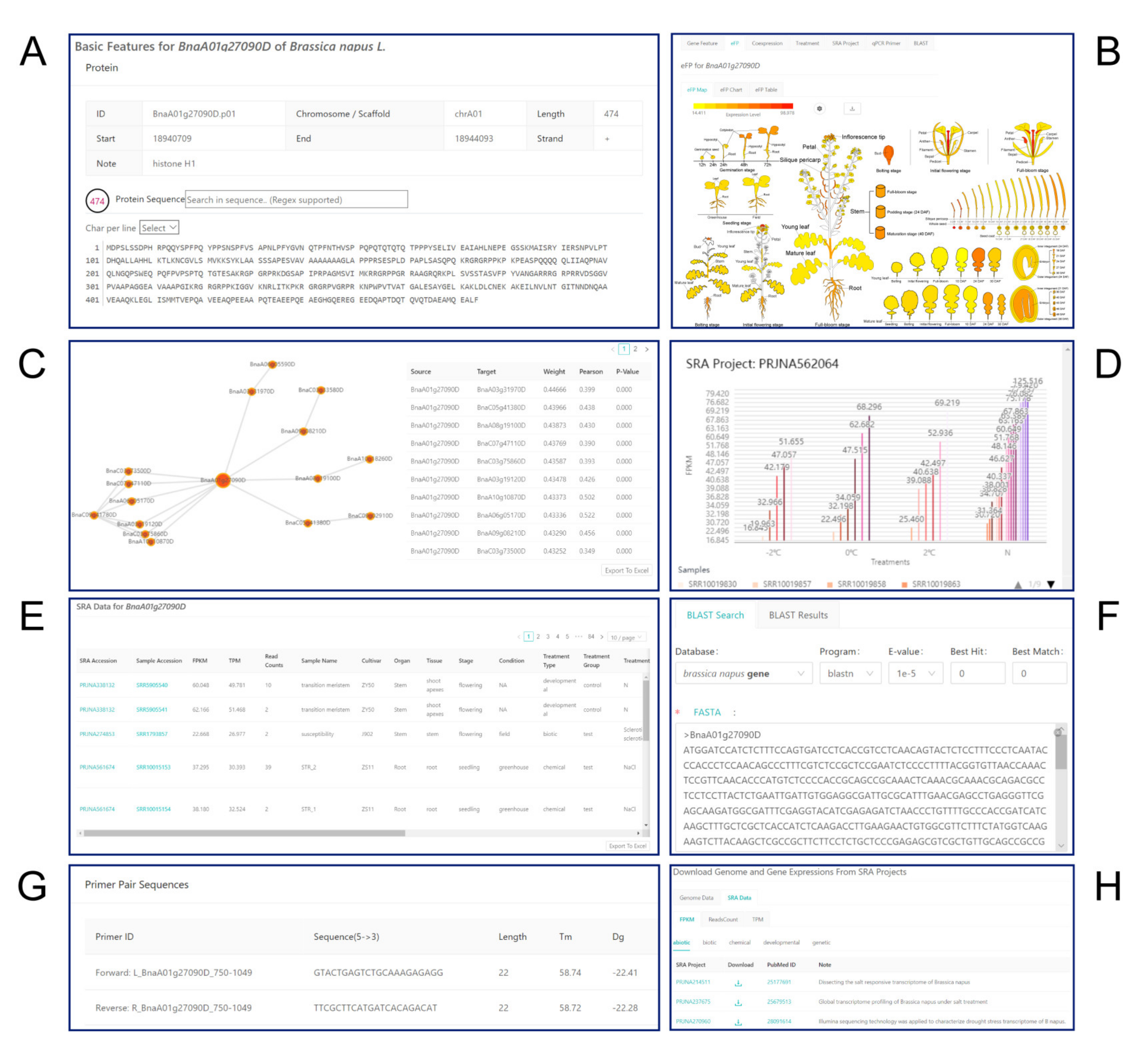 Ijms 21 05831 g006 Ijms 21 05831 g006