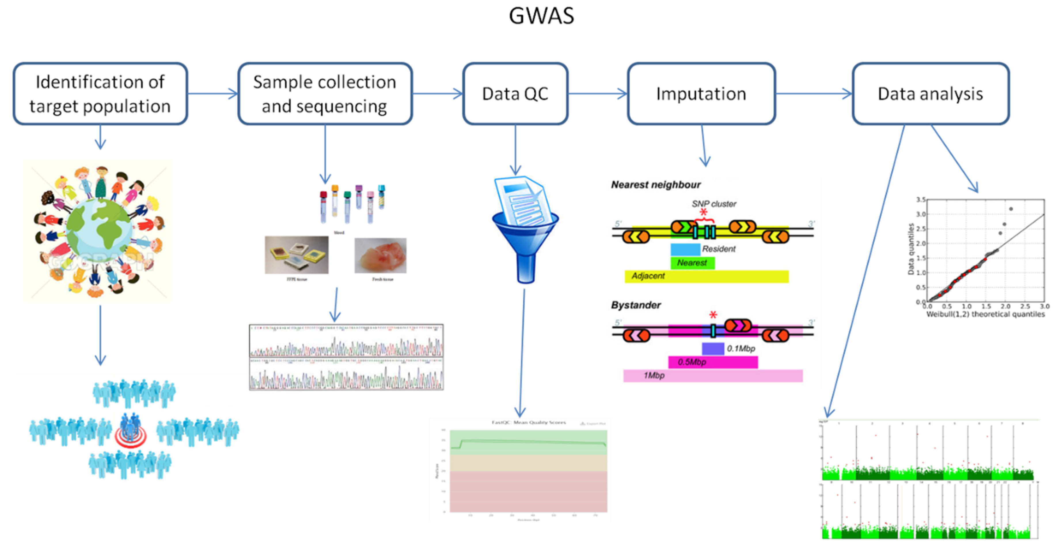 research paper on genome wide association studies