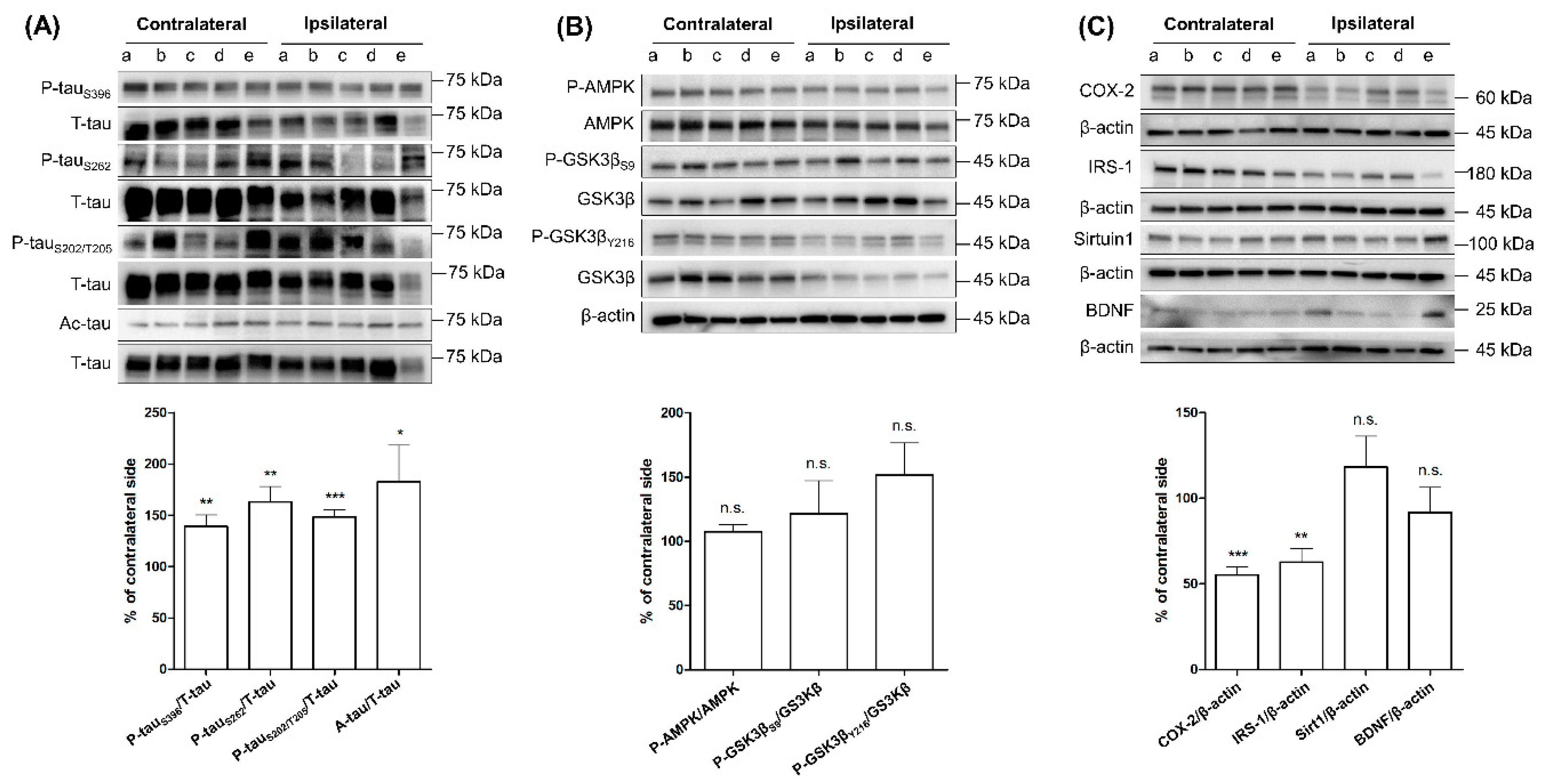 Ijms 21 05842 g001 Ijms 21 05842 g001