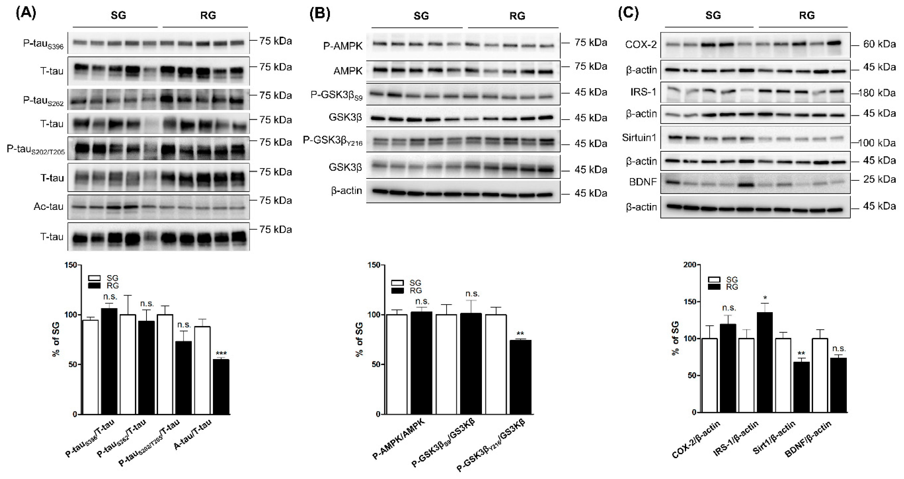 Ijms 21 05842 g003 Ijms 21 05842 g003