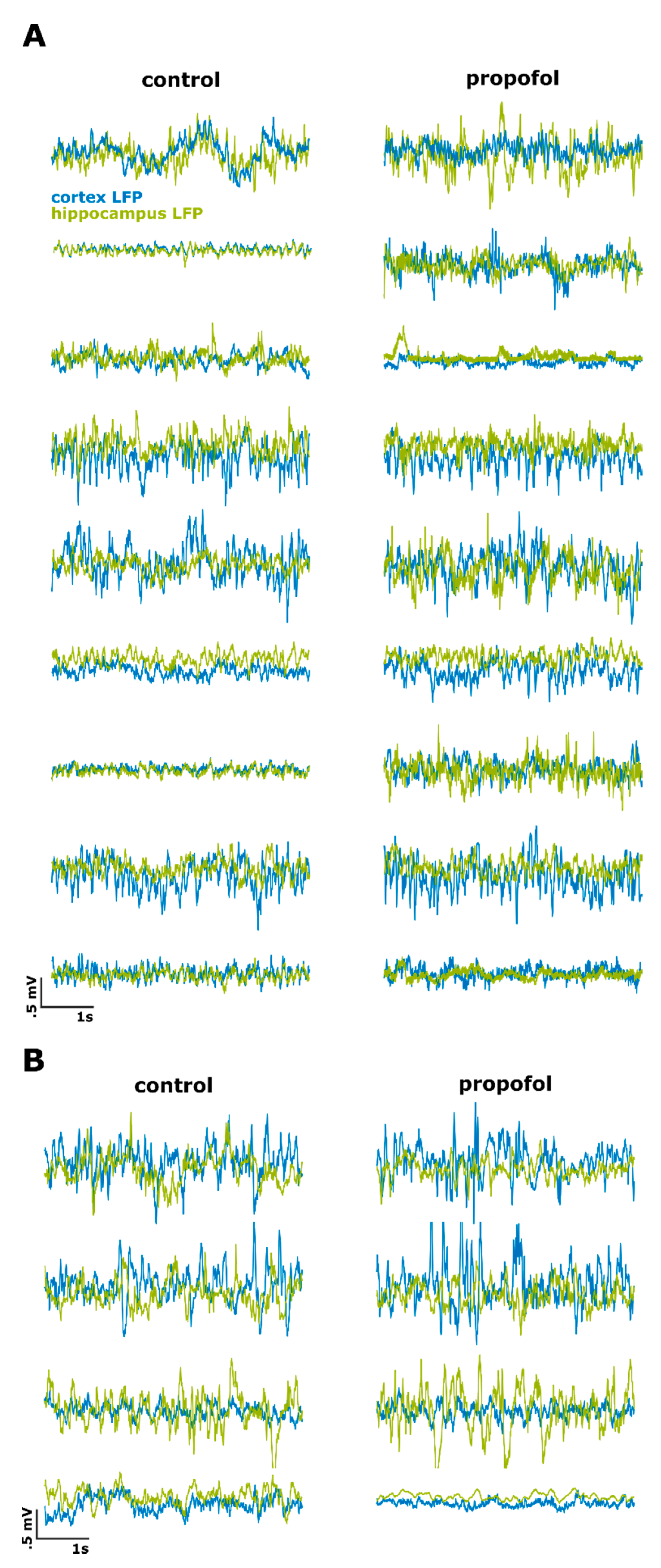 Ijms 21 05844 g0a1 Ijms 21 05844 g0a1