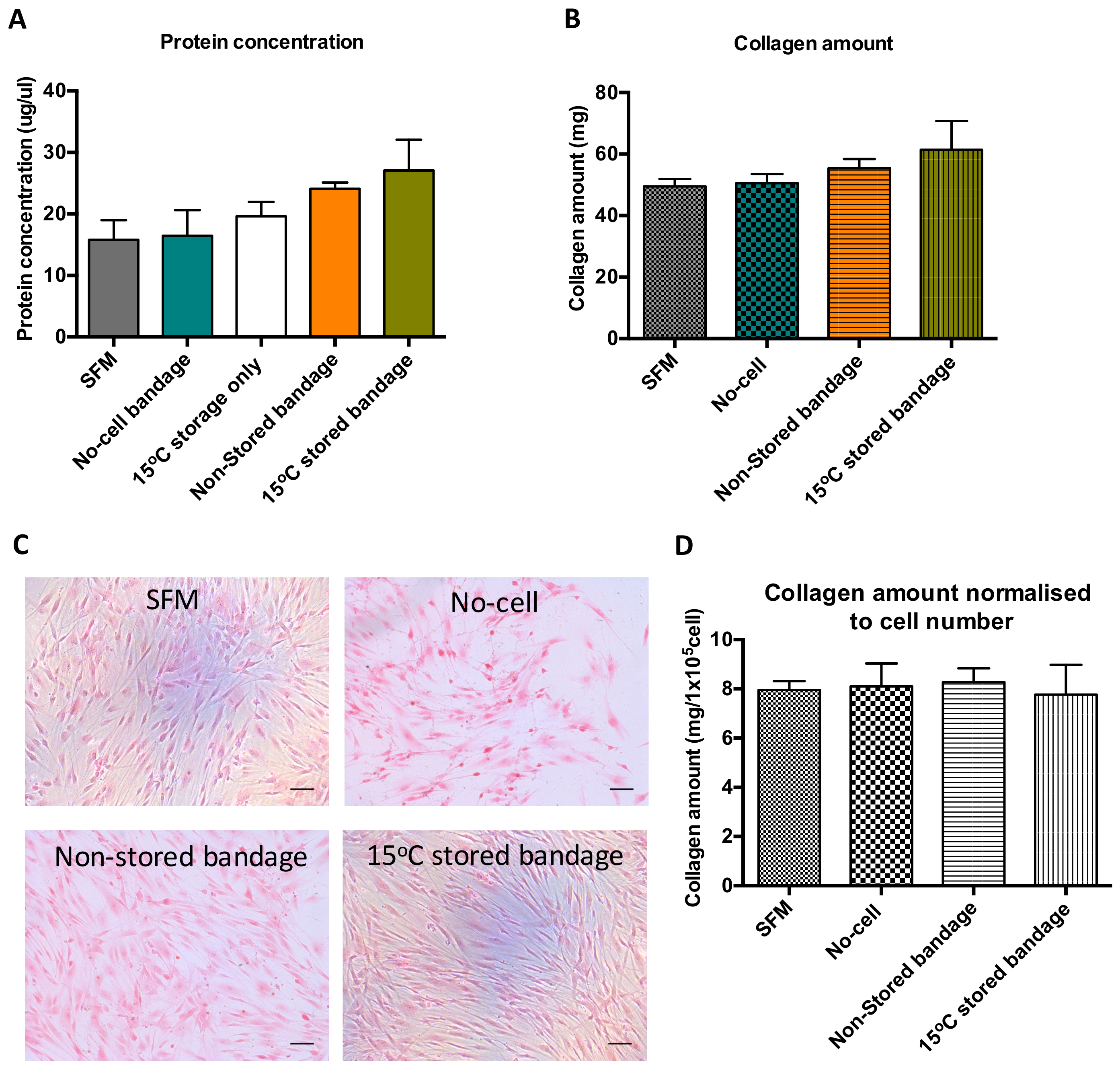 Ijms 21 05849 g003 Ijms 21 05849 g003