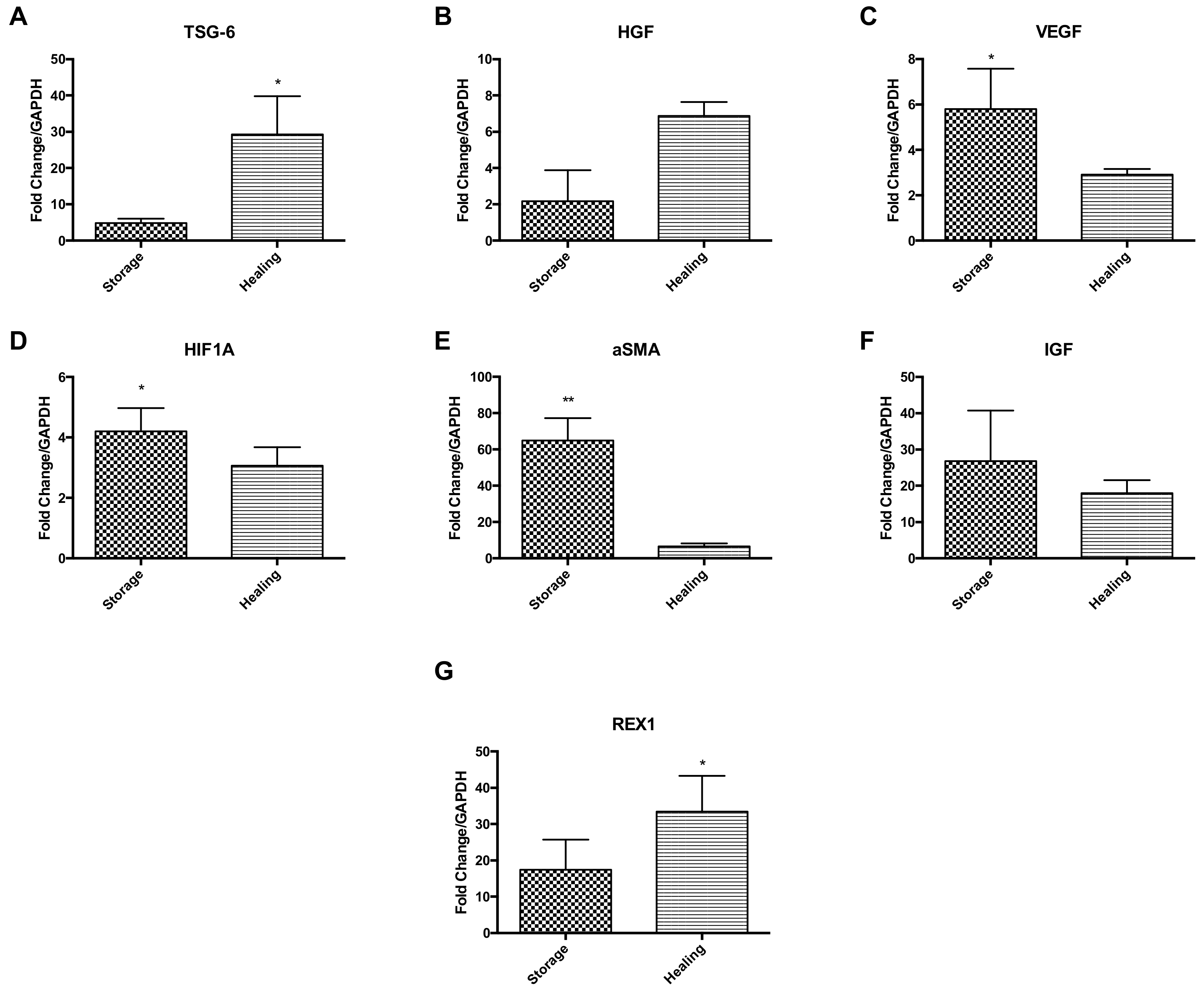 Ijms 21 05849 g005 Ijms 21 05849 g005